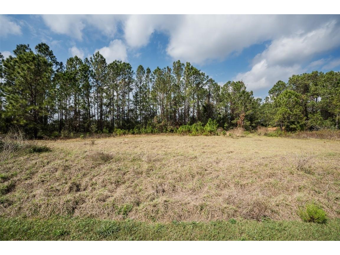 11031 Arrowtree Boulevard Clermont FL 34715 O6367440 image22