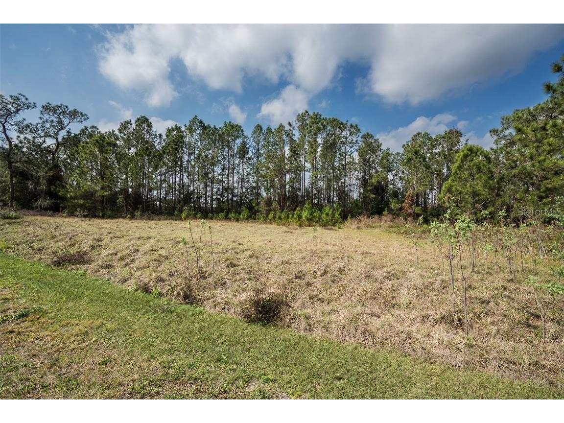 11031 Arrowtree Boulevard Clermont FL 34715 O6367440 image23