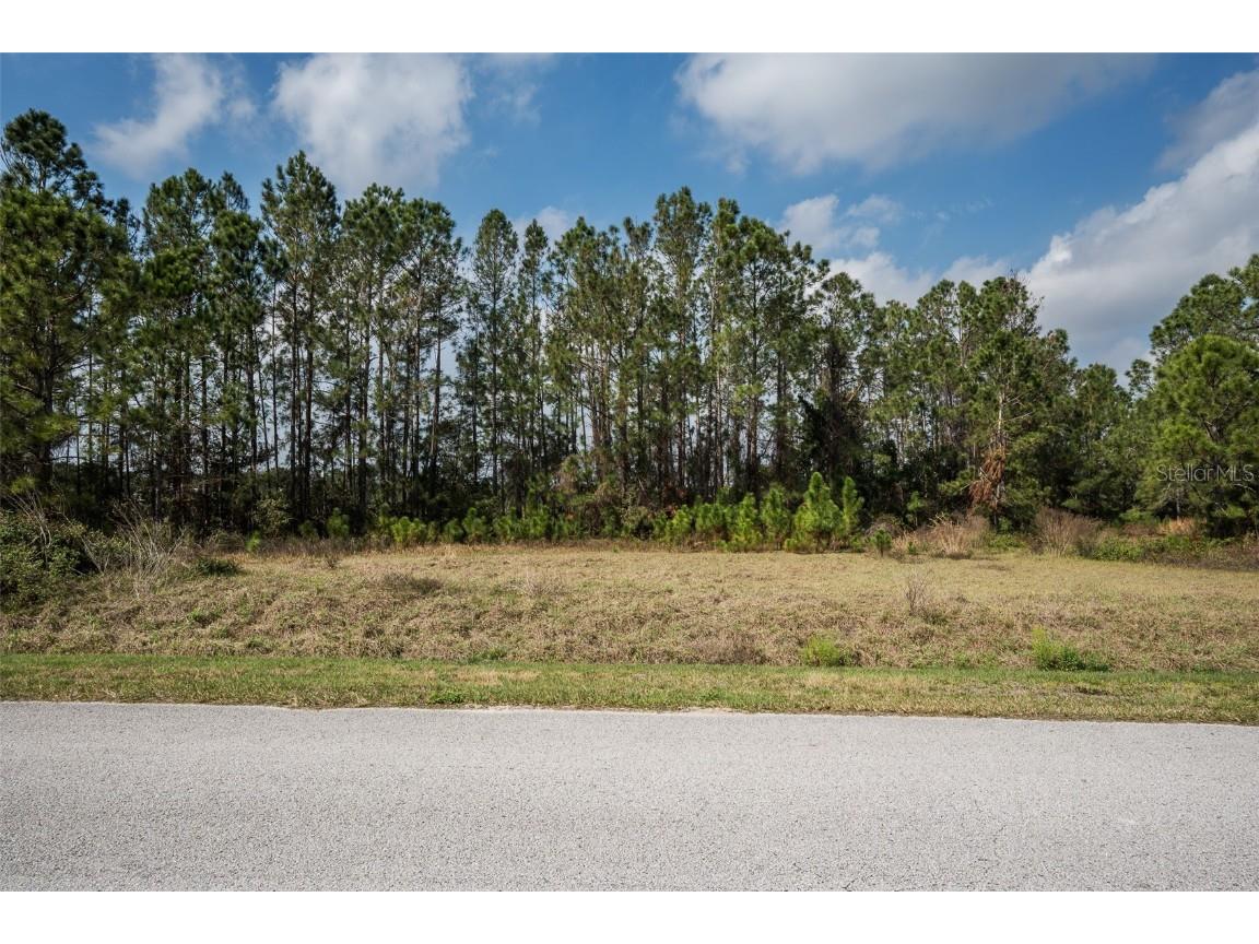 11031 Arrowtree Boulevard Clermont FL 34715 O6367440 image7