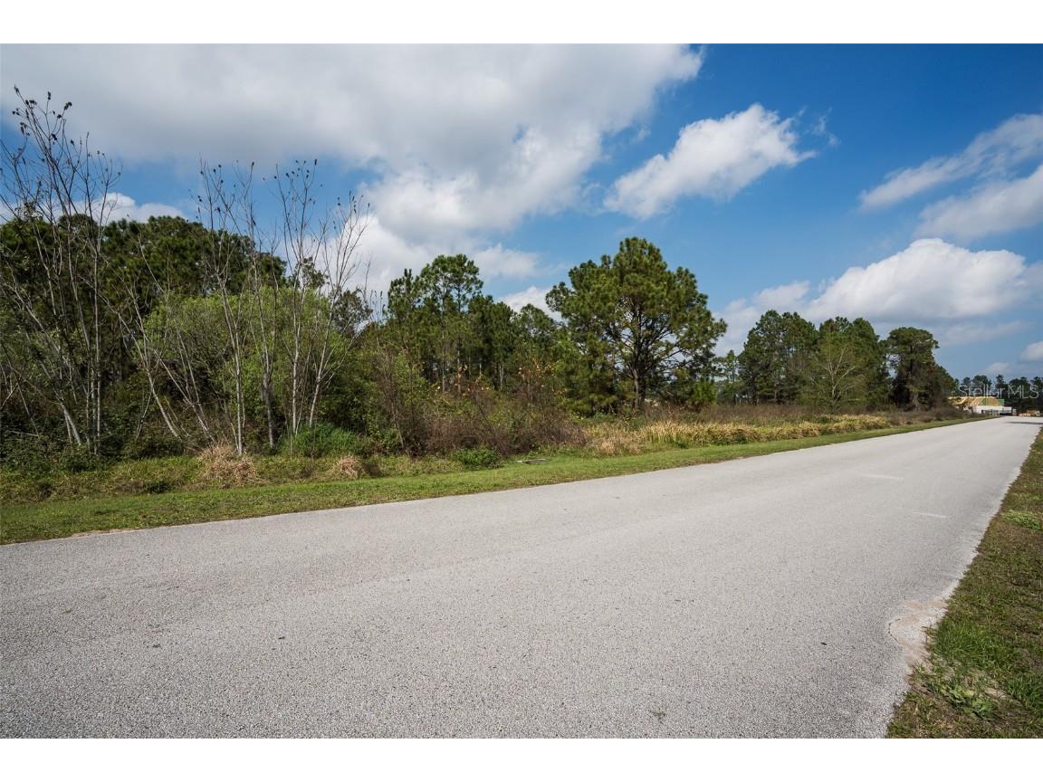 11031 Arrowtree Boulevard Clermont FL 34715 O6367440 image8