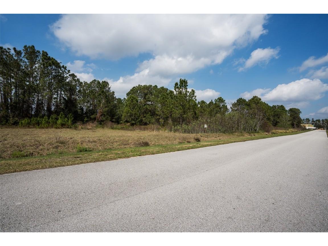 11031 Arrowtree Boulevard Clermont FL 34715 O6367440 image9