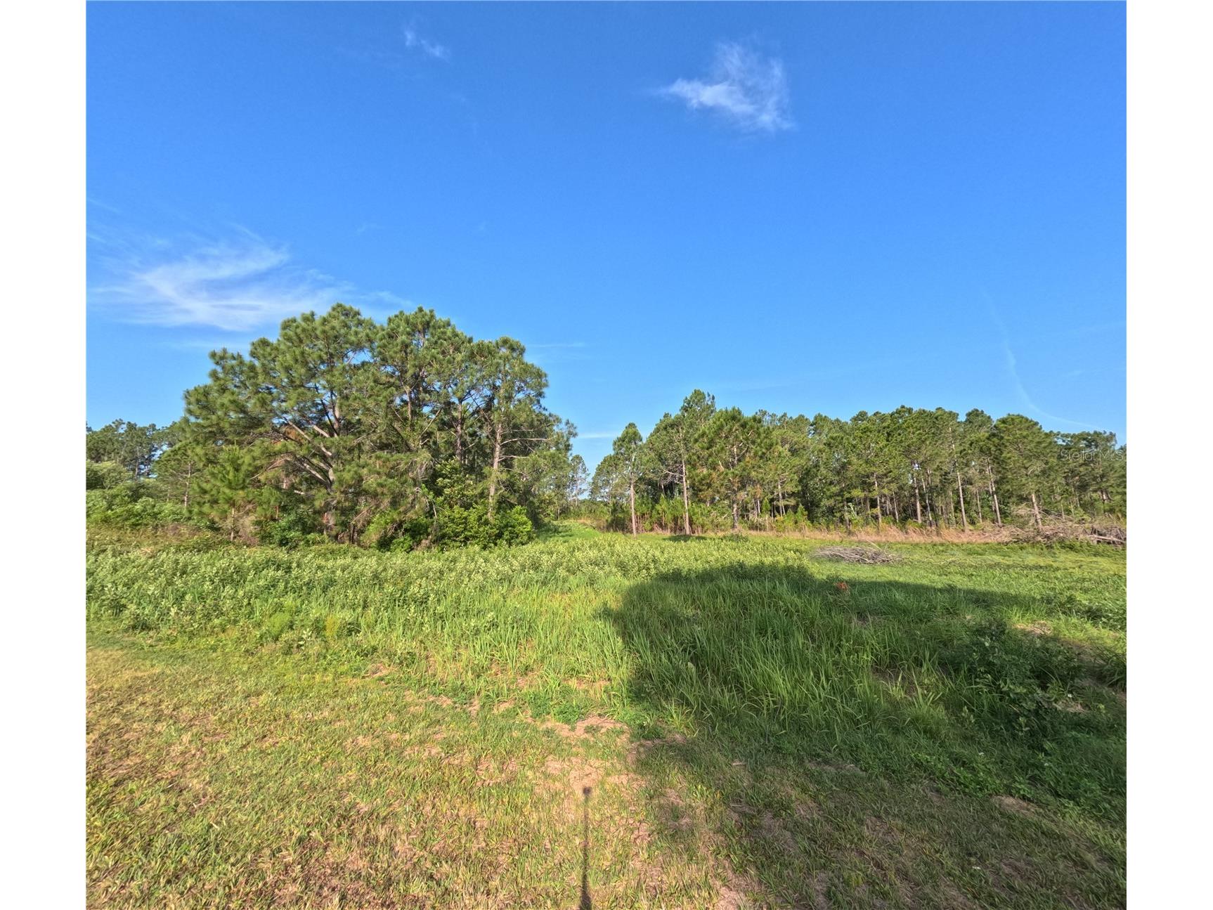 11031 Arrowtree Boulevard Clermont FL 34715 O6400653 image3