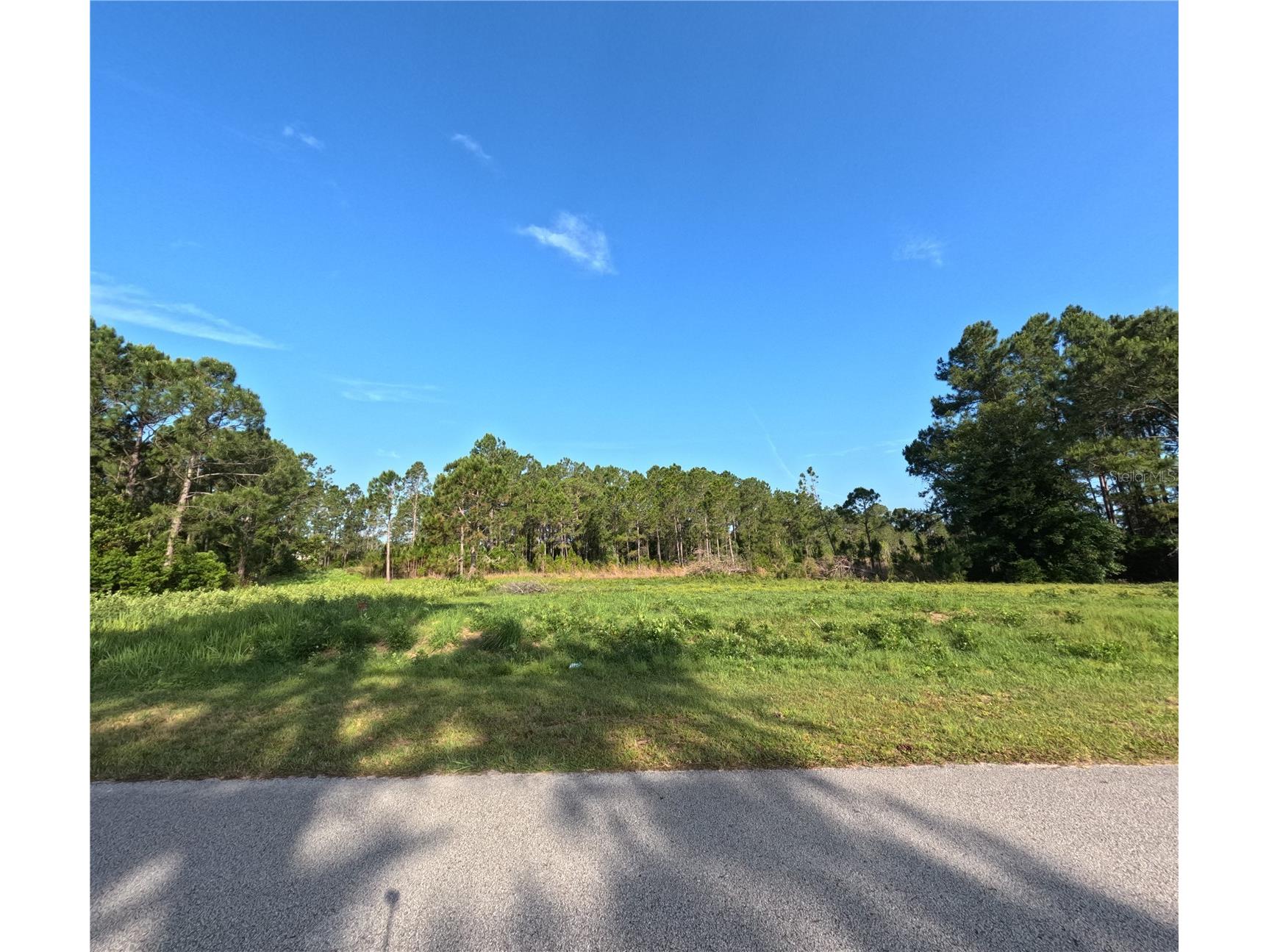 11031 Arrowtree Boulevard Clermont FL 34715 O6400653 image4