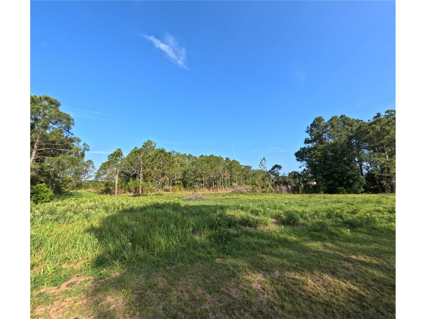 11031 Arrowtree Boulevard Clermont FL 34715 O6400653 image5