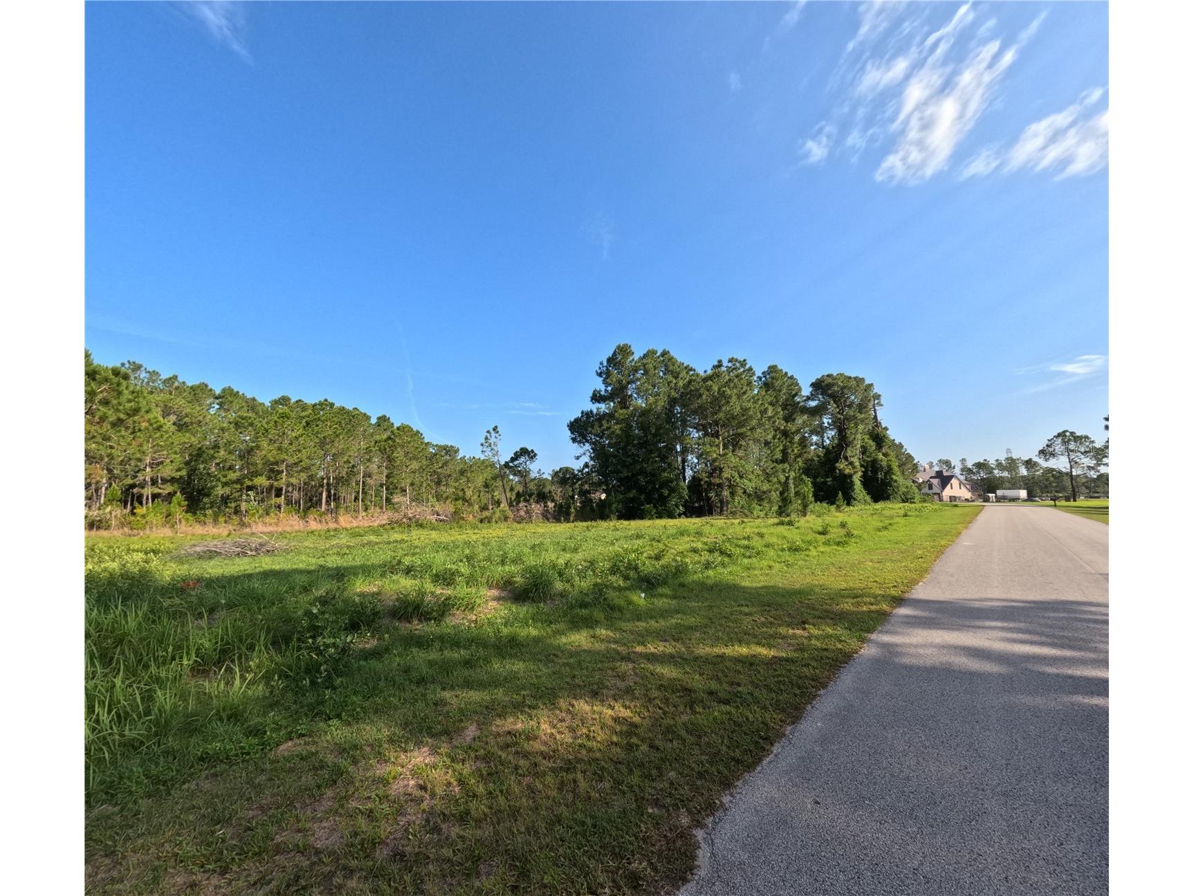 11031 Arrowtree Boulevard Clermont FL 34715 O6400653 image6