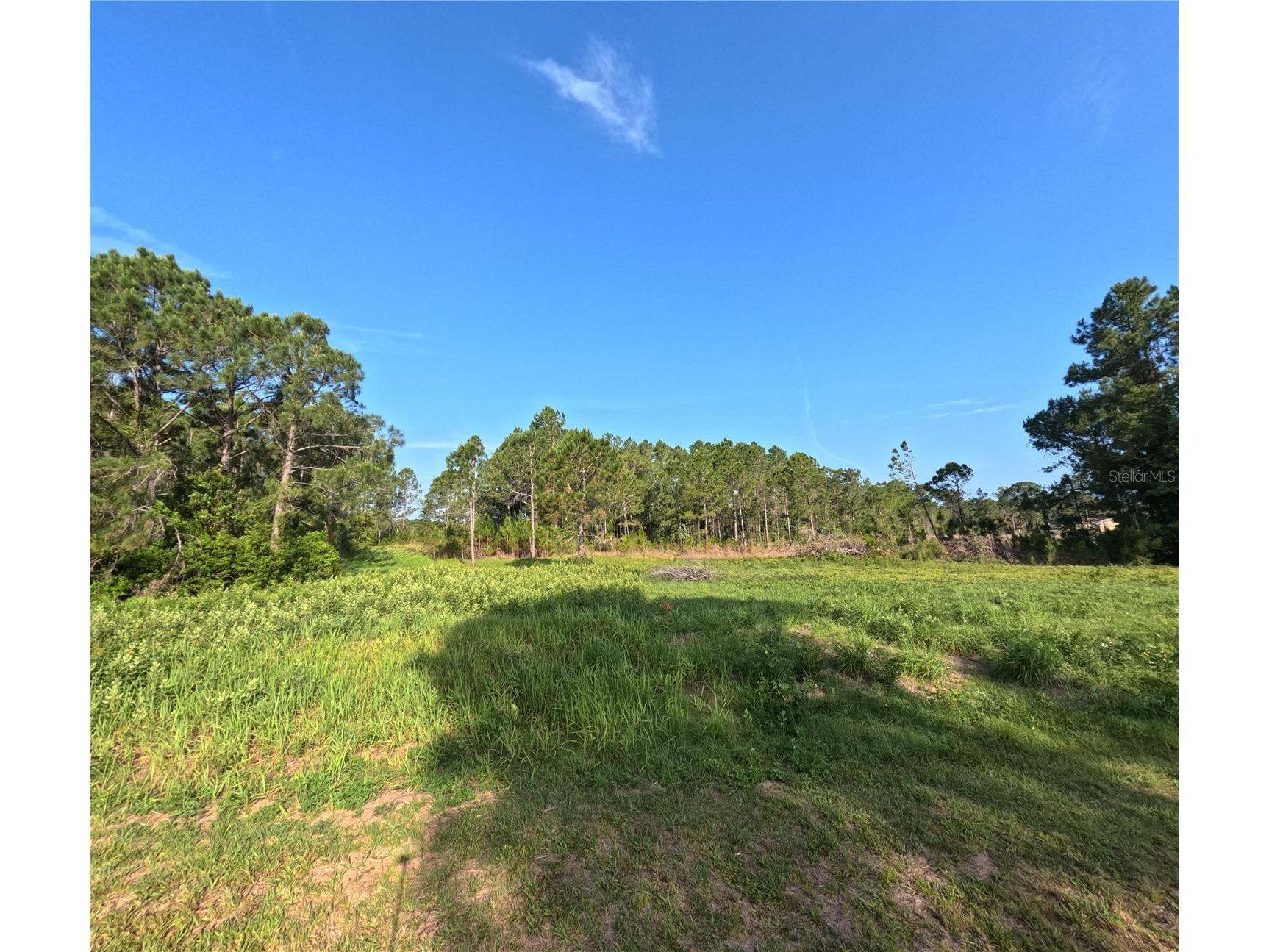 11031 Arrowtree Boulevard Clermont FL 34715 O6400653 image8