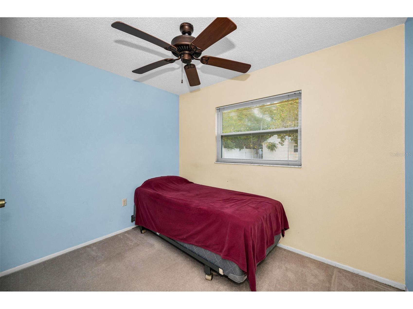 11031 Heathwood Avenue Spring Hill FL 34608 TB8502683 image24