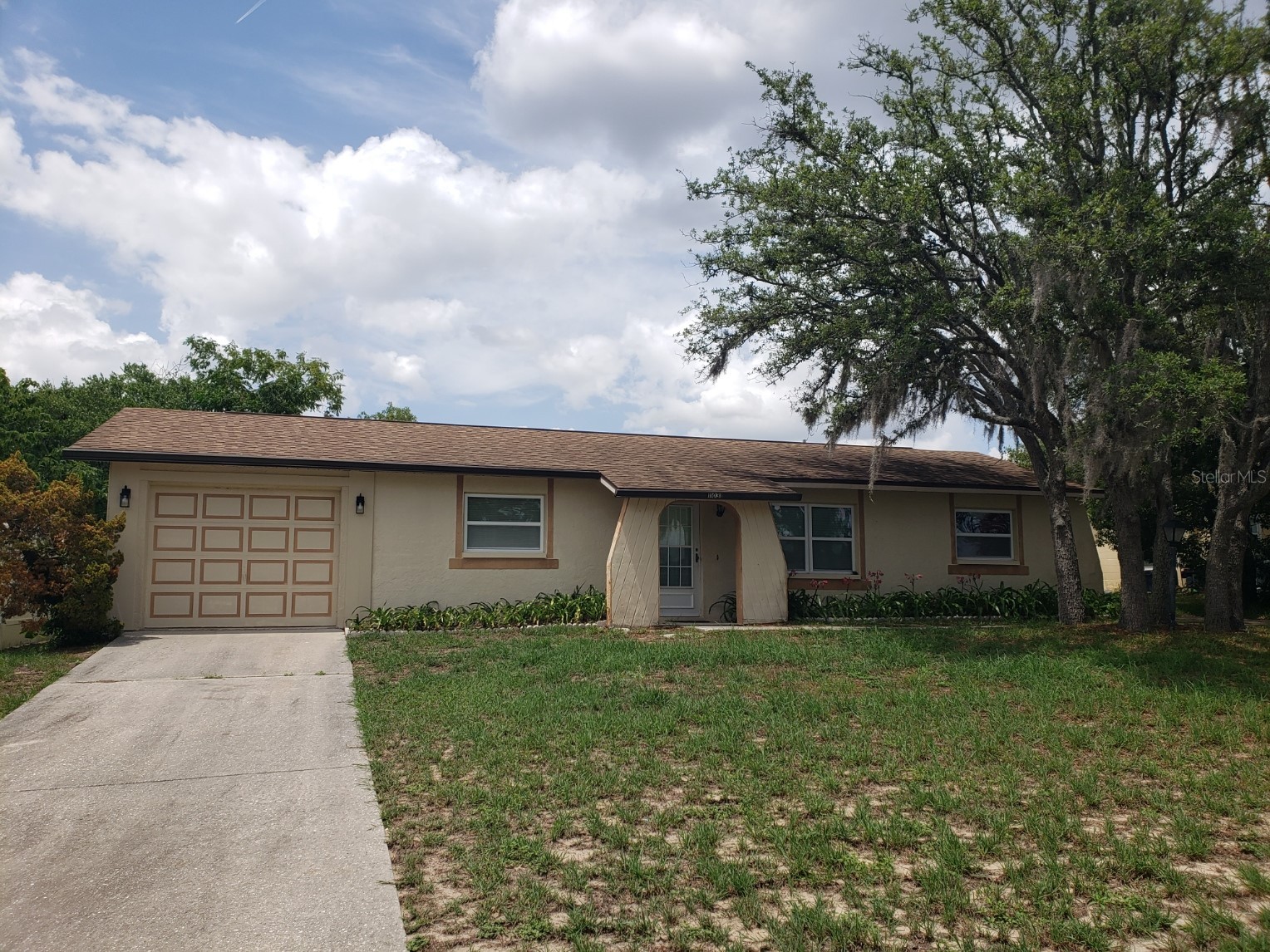 11031 Heathwood Avenue Spring Hill FL 34608 TB8502683 image3