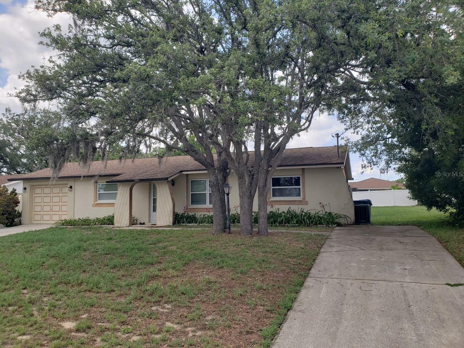 11031 Heathwood Avenue Spring Hill FL 34608 TB8502683 image42