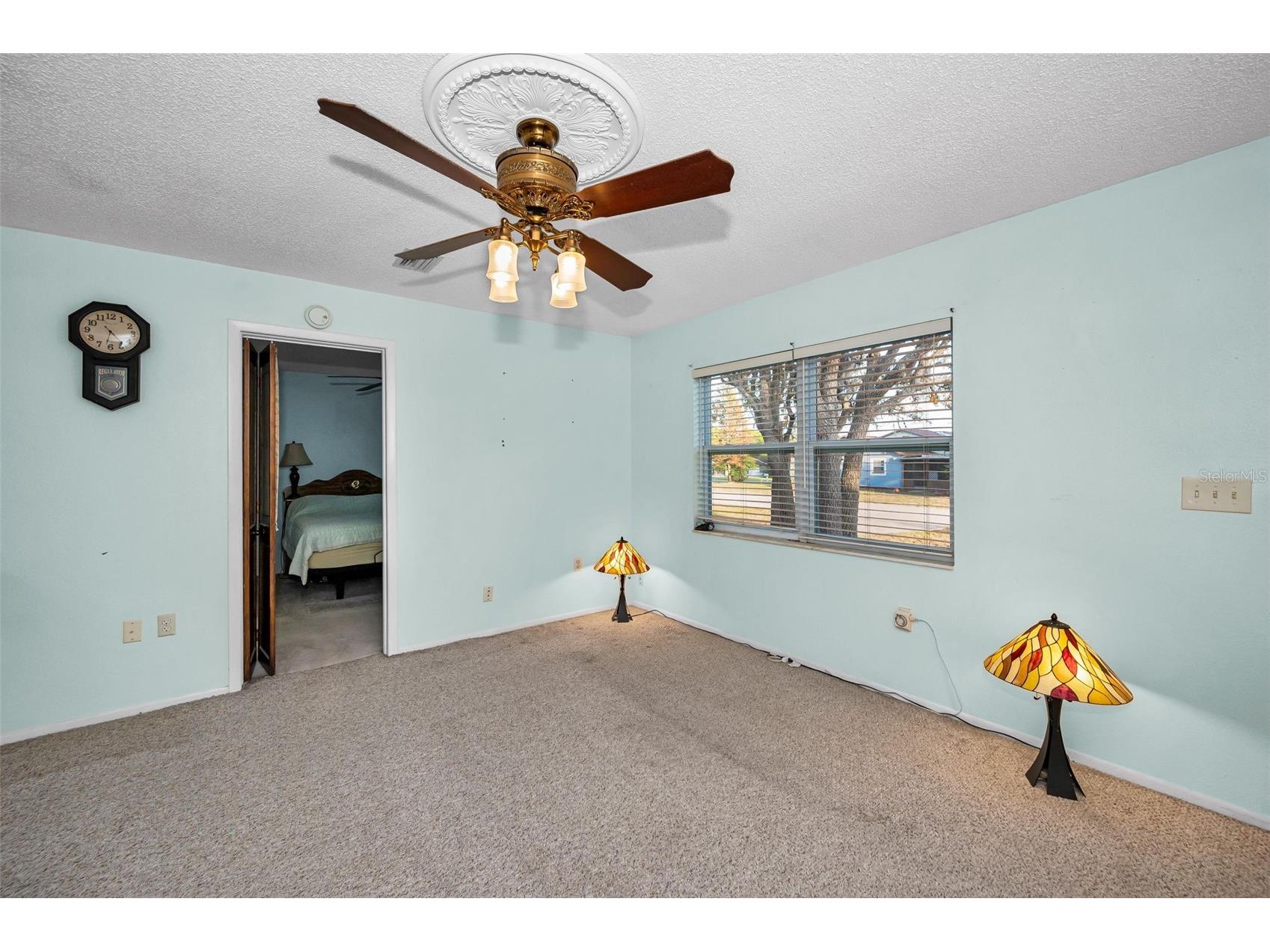 11031 Heathwood Avenue Spring Hill FL 34608 TB8502683 image6