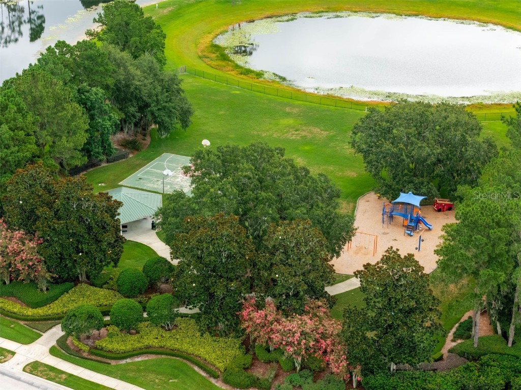 11031 Ledgement Lane Windermere FL 34786 O6325415 image36