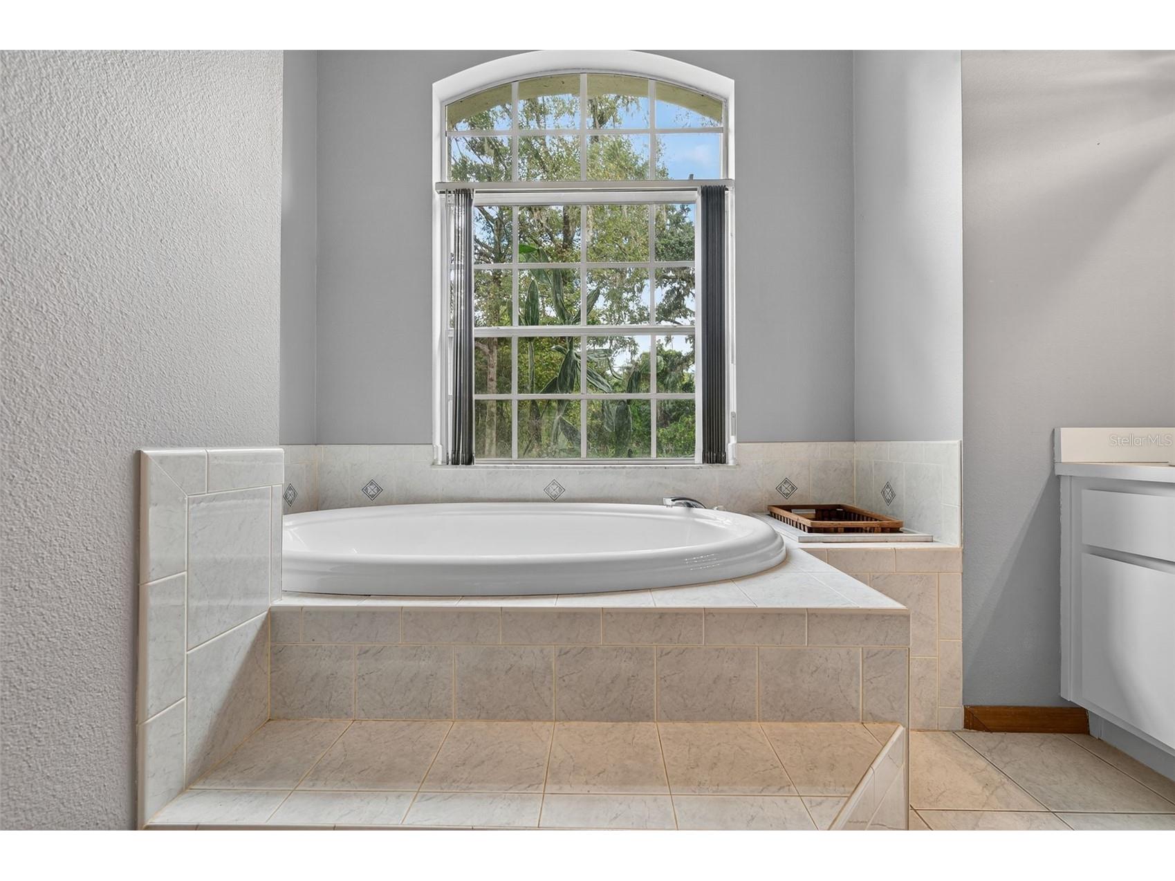 11031 Nottingham Forest Drive Brooksville FL 34601 W7880334 image52