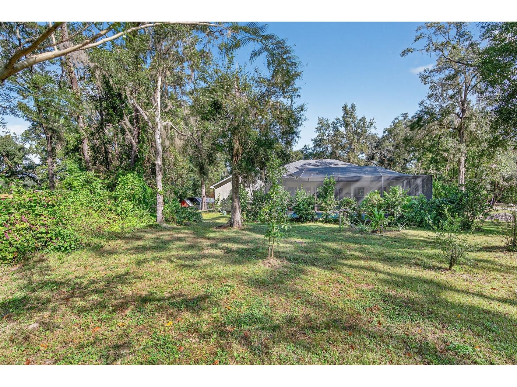 11031 Nottingham Forest Drive Brooksville FL 34601 W7880334 image64