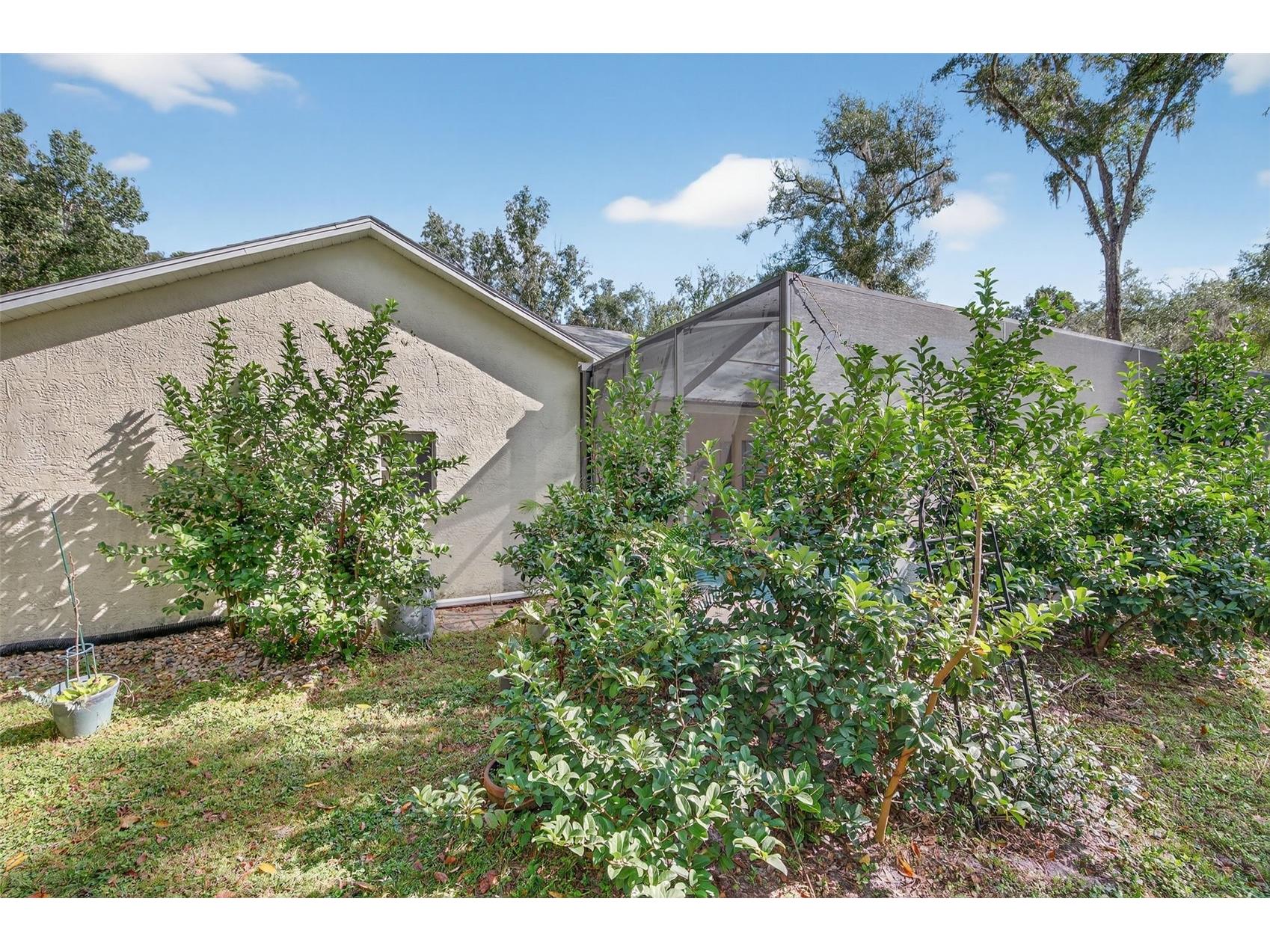 11031 Nottingham Forest Drive Brooksville FL 34601 W7880334 image69