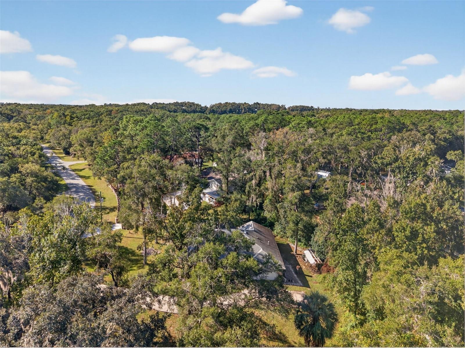 11031 Nottingham Forest Drive Brooksville FL 34601 W7880334 image75