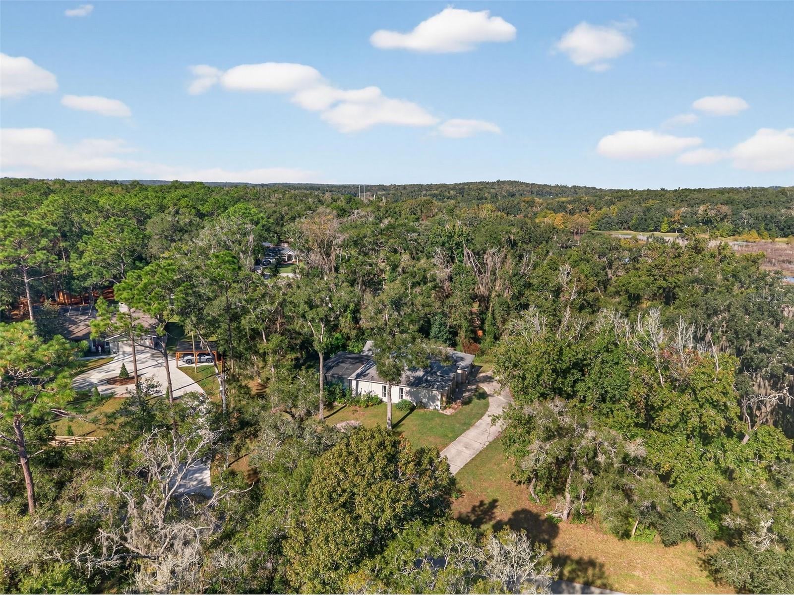 11031 Nottingham Forest Drive Brooksville FL 34601 W7880334 image76