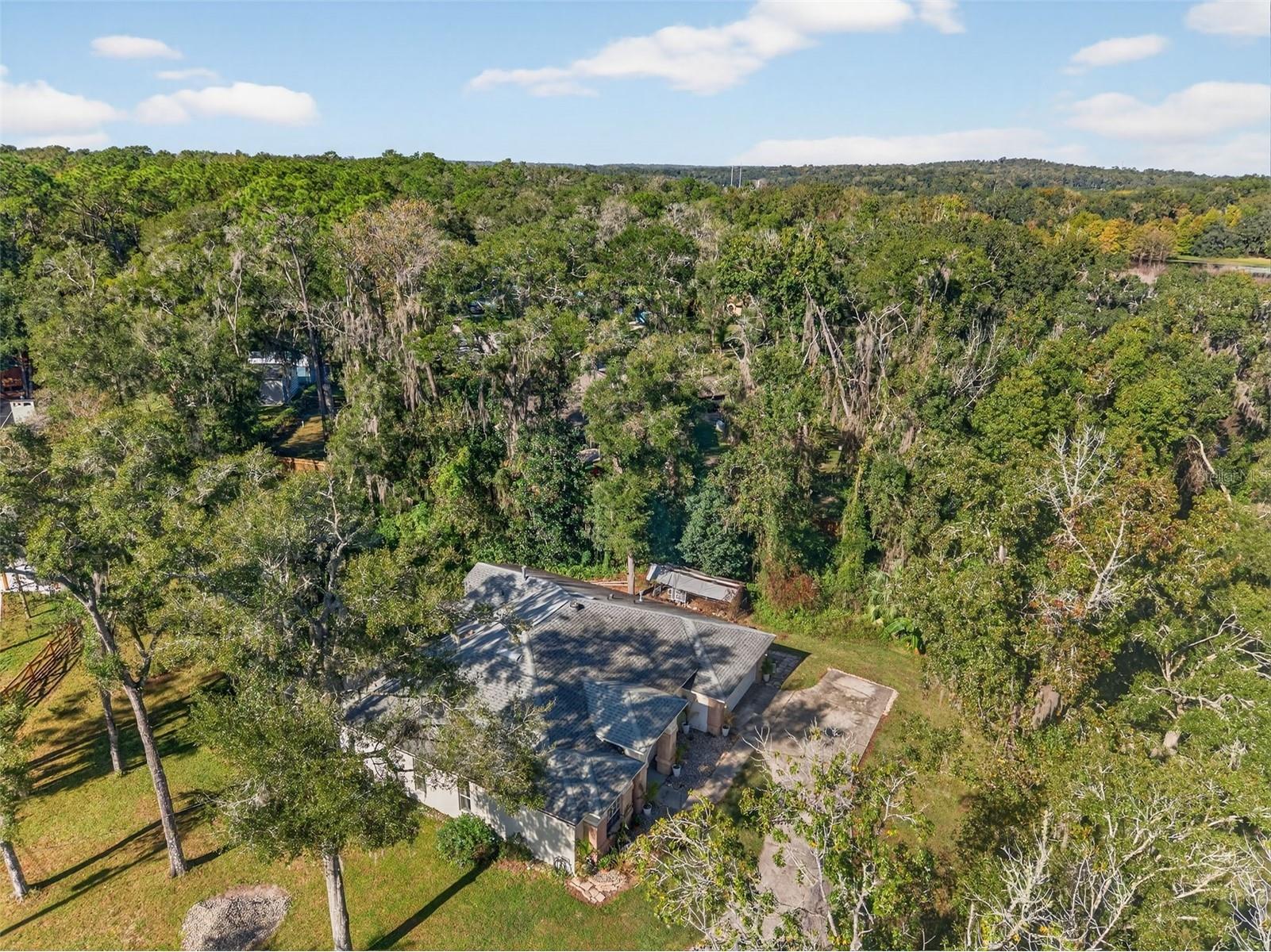 11031 Nottingham Forest Drive Brooksville FL 34601 W7880334 image77