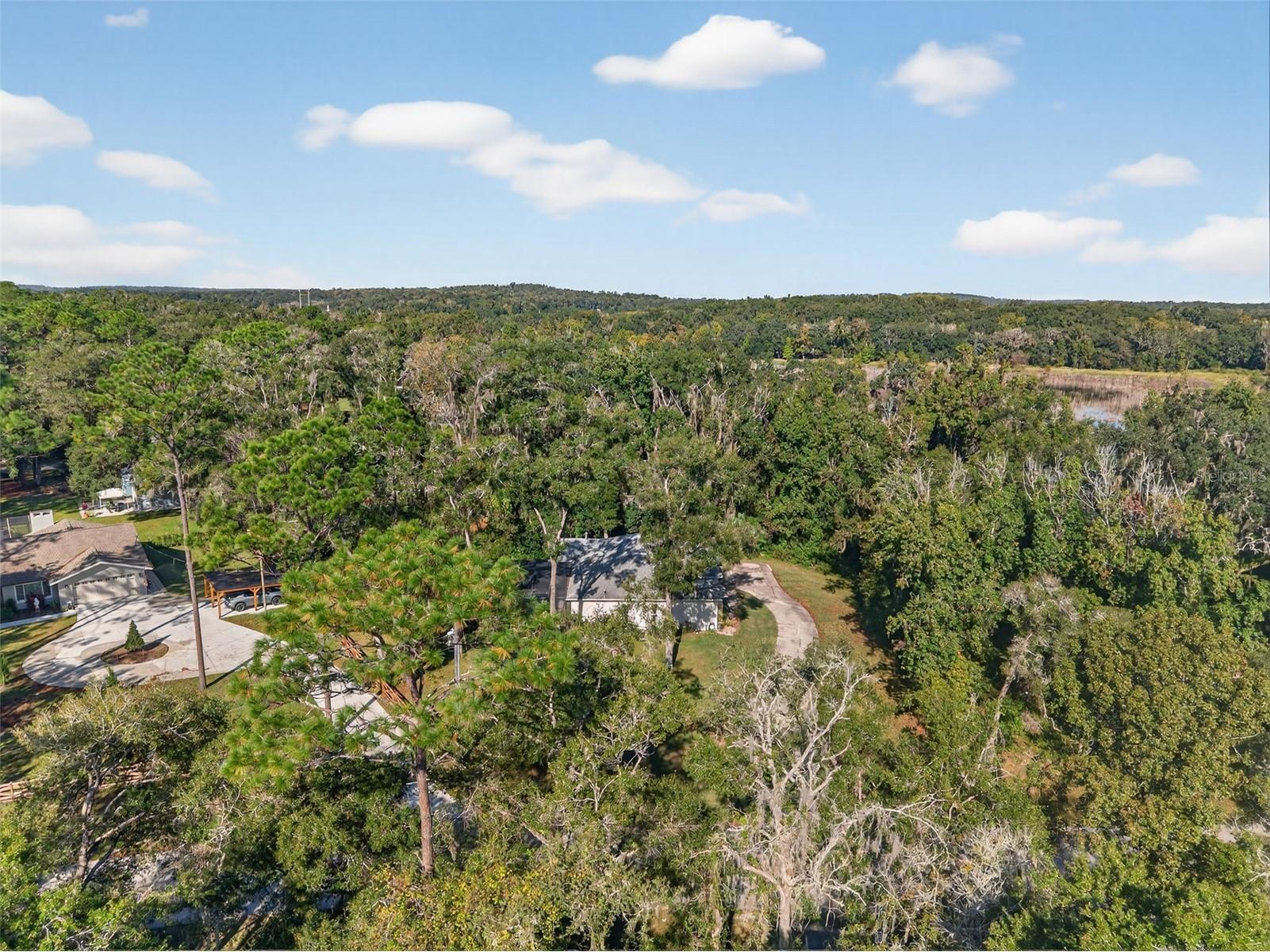 11031 Nottingham Forest Drive Brooksville FL 34601 W7880334 image78