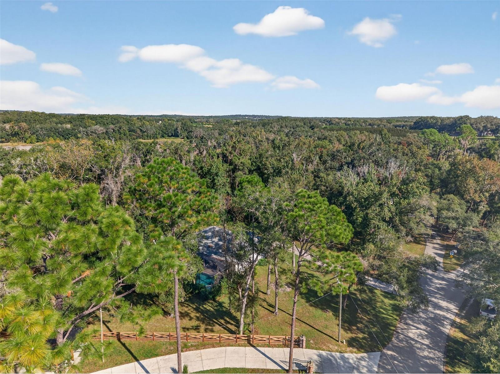 11031 Nottingham Forest Drive Brooksville FL 34601 W7880334 image79