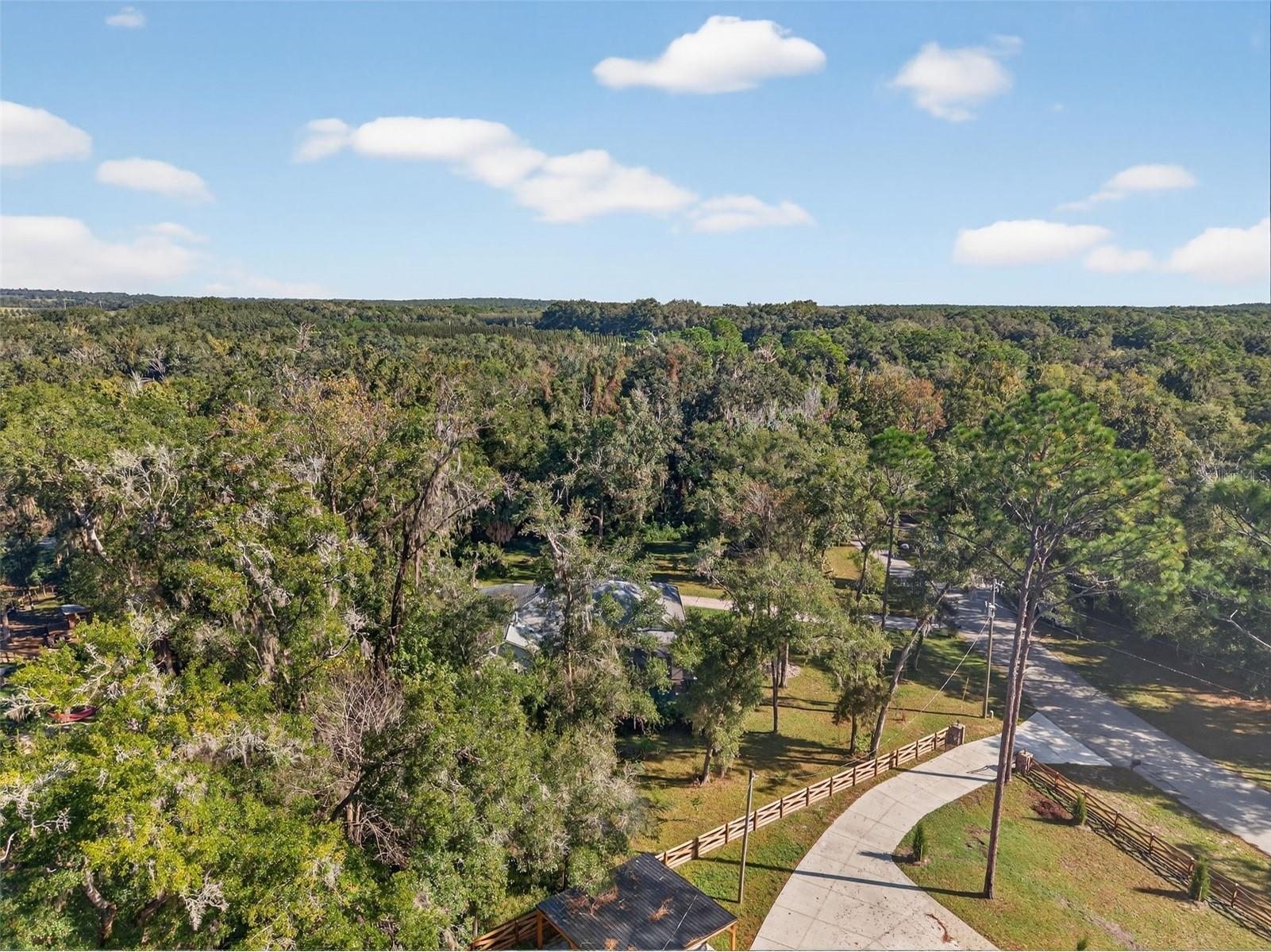 11031 Nottingham Forest Drive Brooksville FL 34601 W7880334 image80