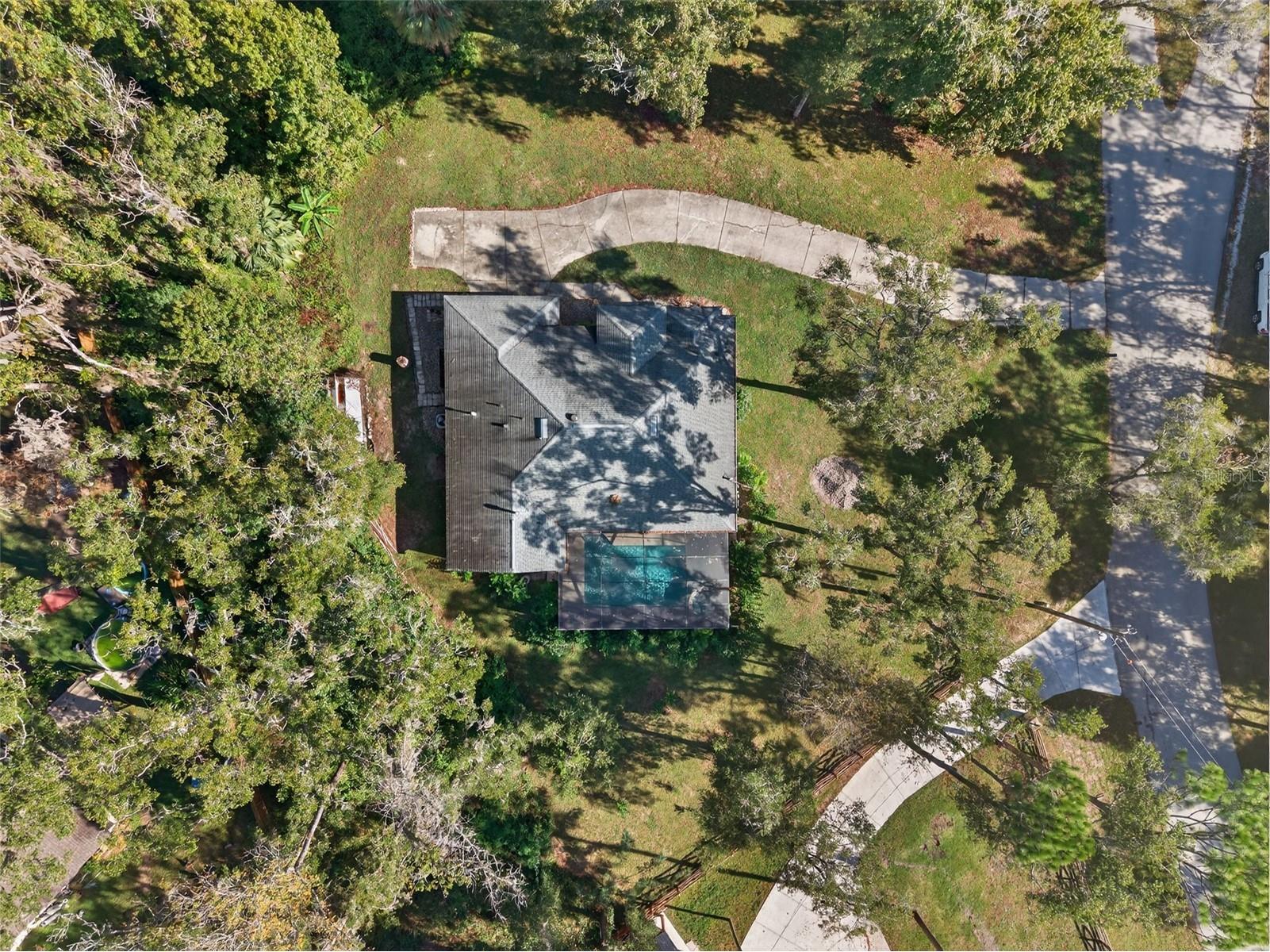 11031 Nottingham Forest Drive Brooksville FL 34601 W7880334 image82