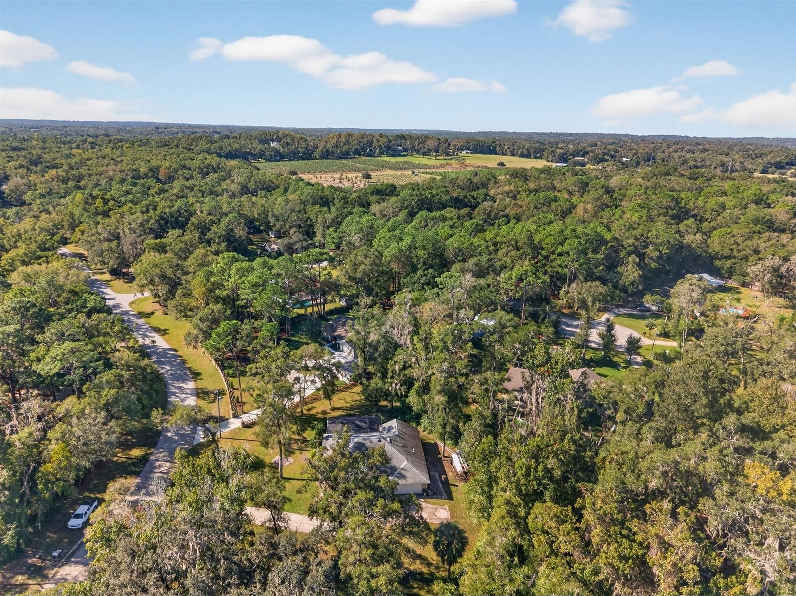 11031 Nottingham Forest Drive Brooksville FL 34601 W7880334 image83