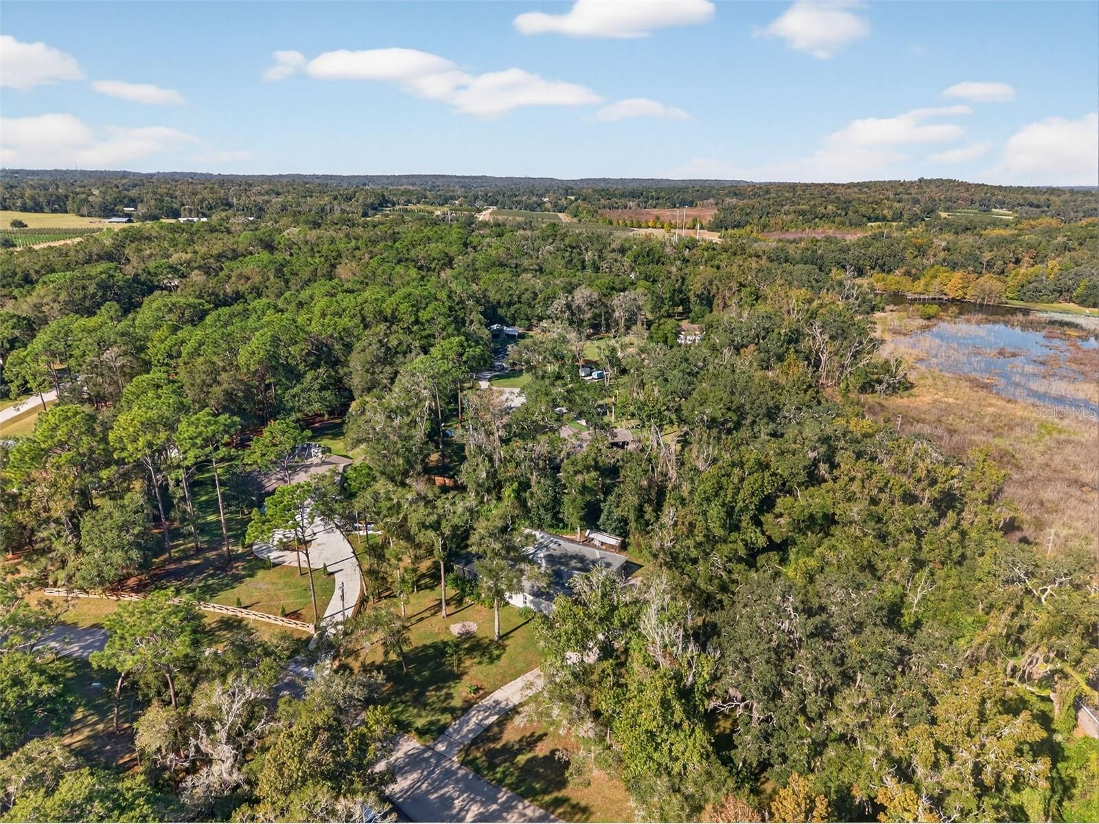 11031 Nottingham Forest Drive Brooksville FL 34601 W7880334 image84