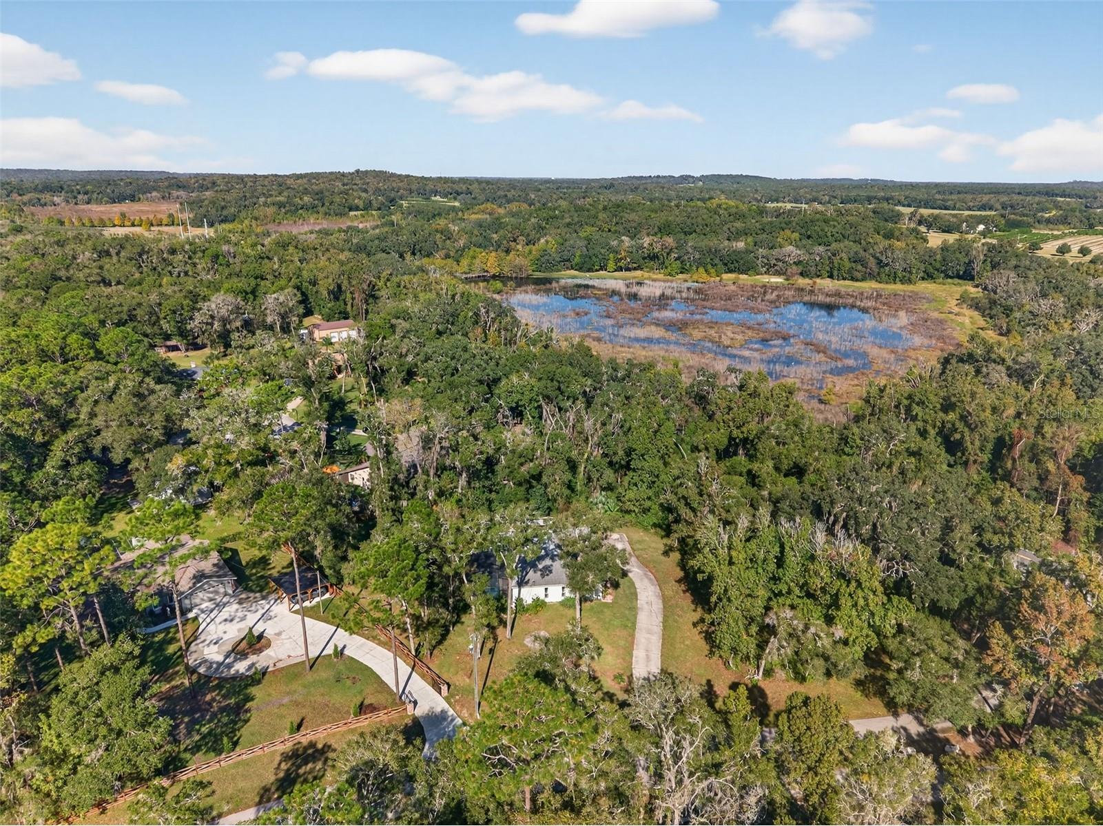 11031 Nottingham Forest Drive Brooksville FL 34601 W7880334 image85