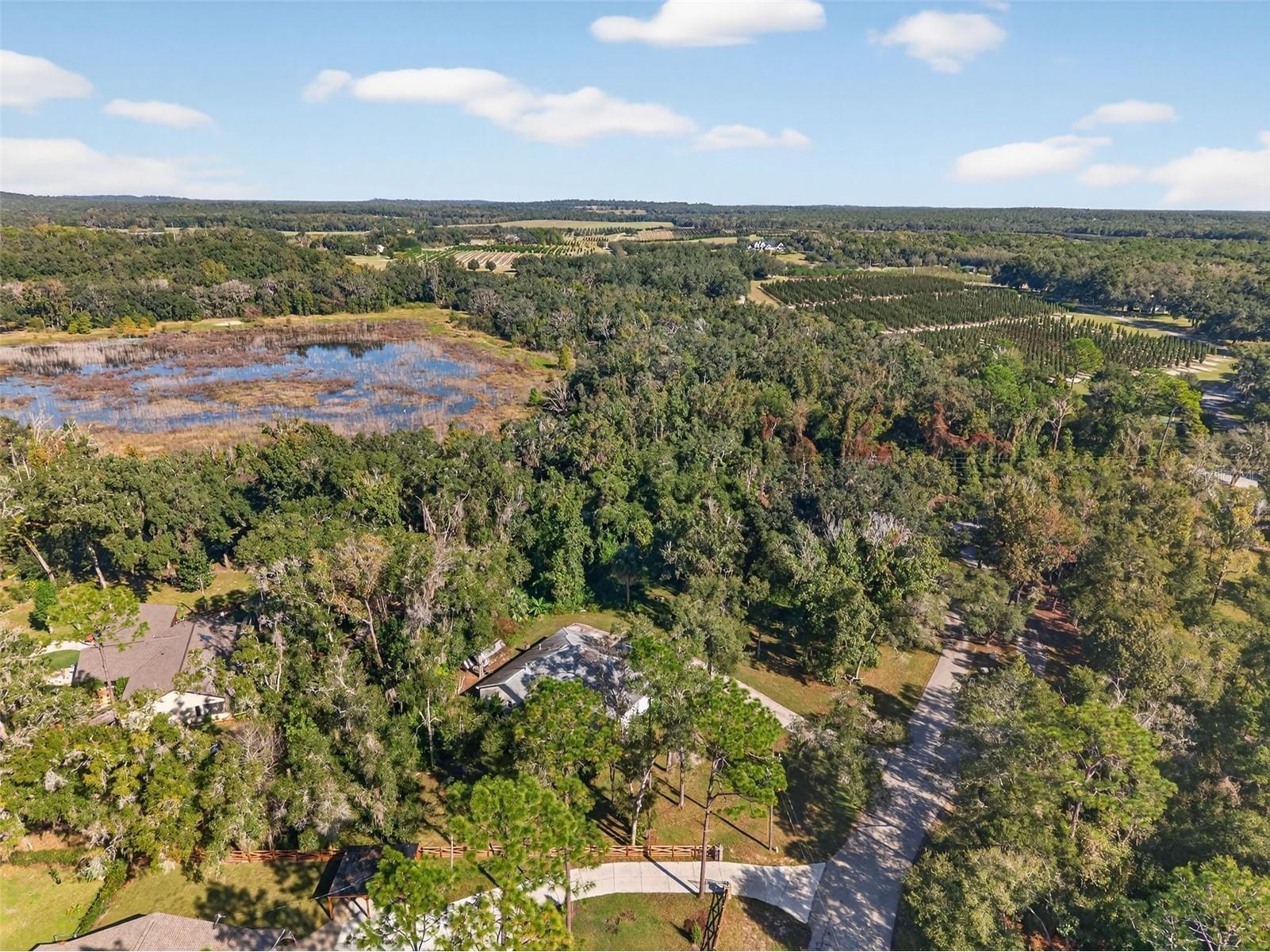 11031 Nottingham Forest Drive Brooksville FL 34601 W7880334 image86