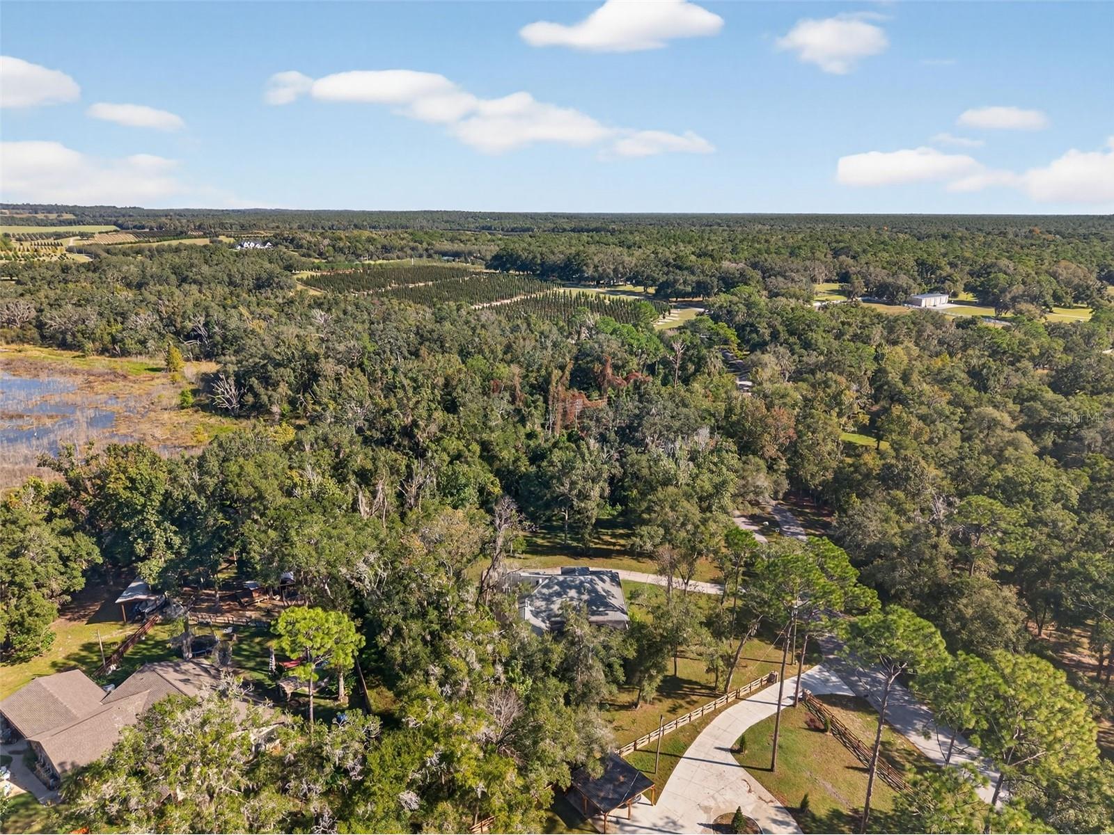 11031 Nottingham Forest Drive Brooksville FL 34601 W7880334 image87