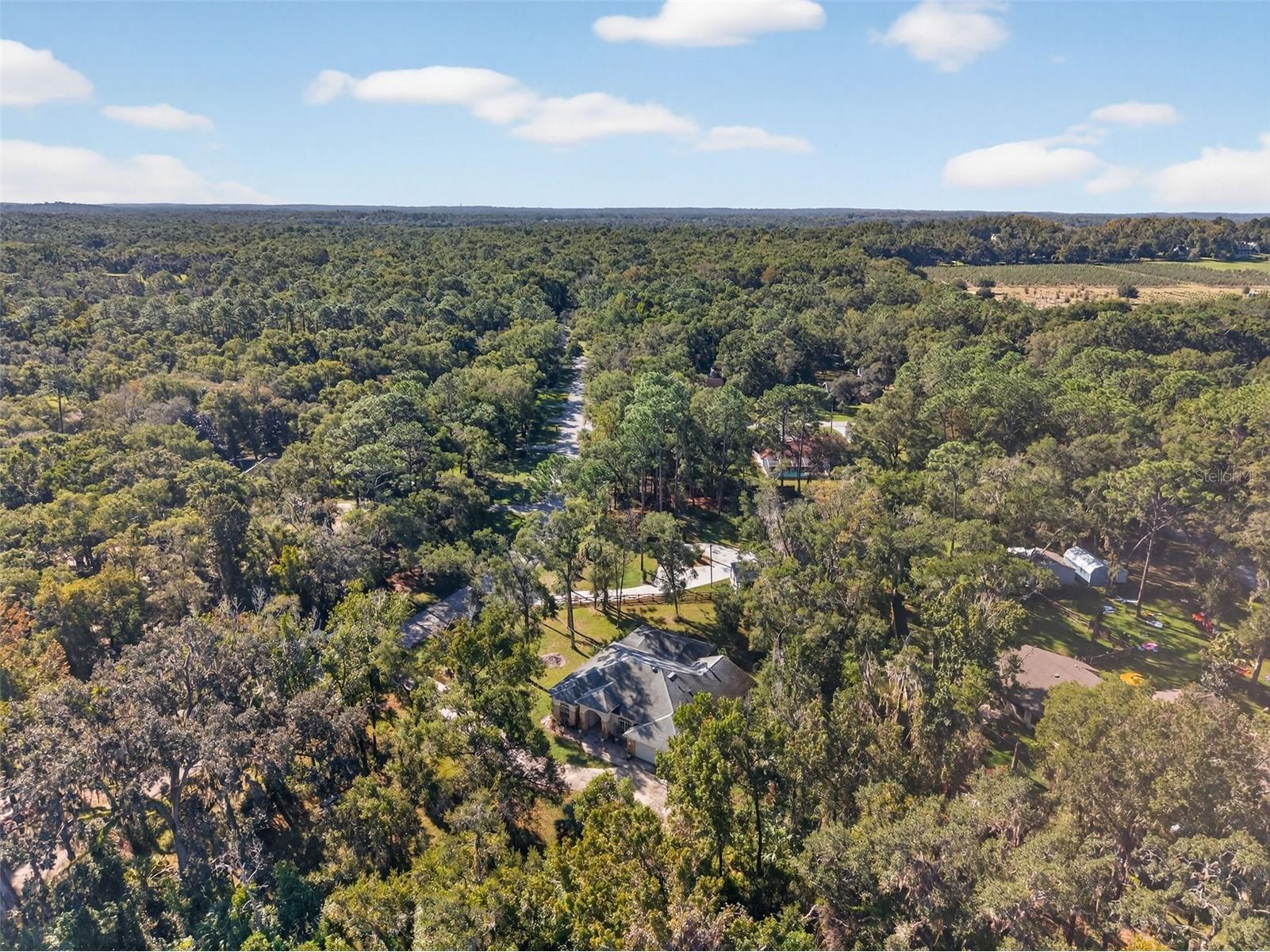 11031 Nottingham Forest Drive Brooksville FL 34601 W7880334 image90