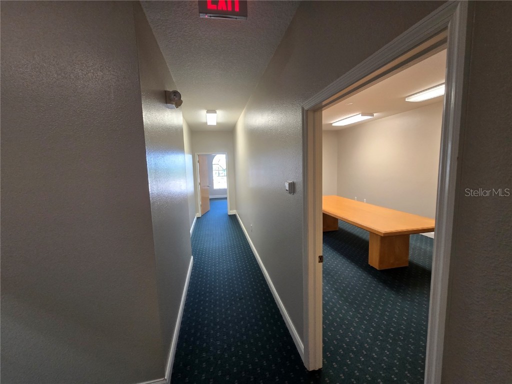 11031 Spring Hill Drive Spring Hill FL 34608 W7876035 image4