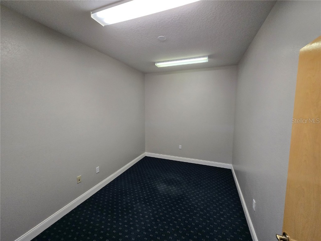 11031 Spring Hill Drive Spring Hill FL 34608 W7876035 image7