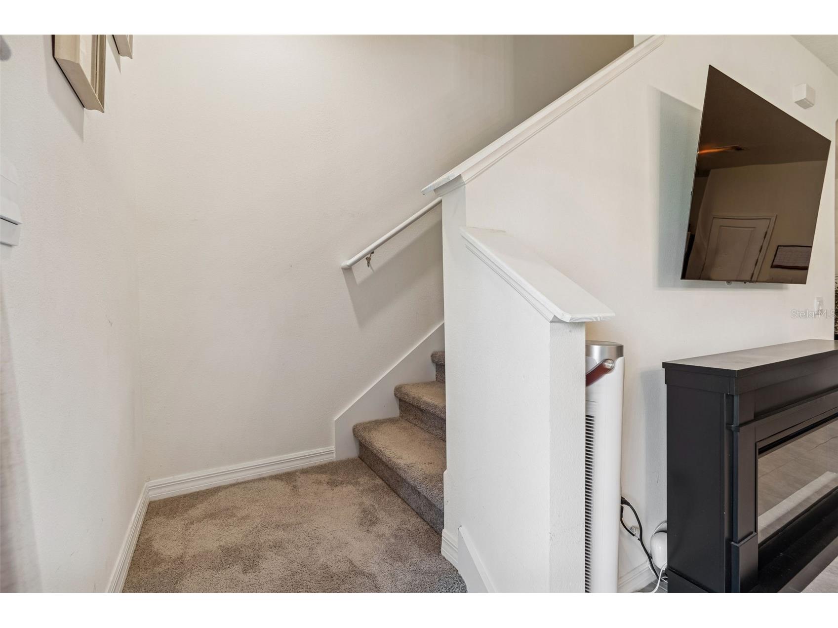 11032 Crescent Deer Drive Land O Lakes FL 34638 TB8482478 image18