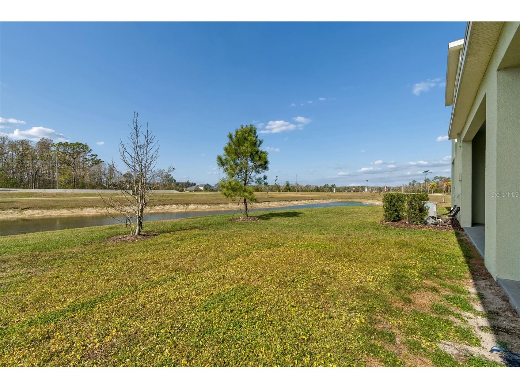 11032 Crescent Deer Drive Land O Lakes FL 34638 TB8482478 image30