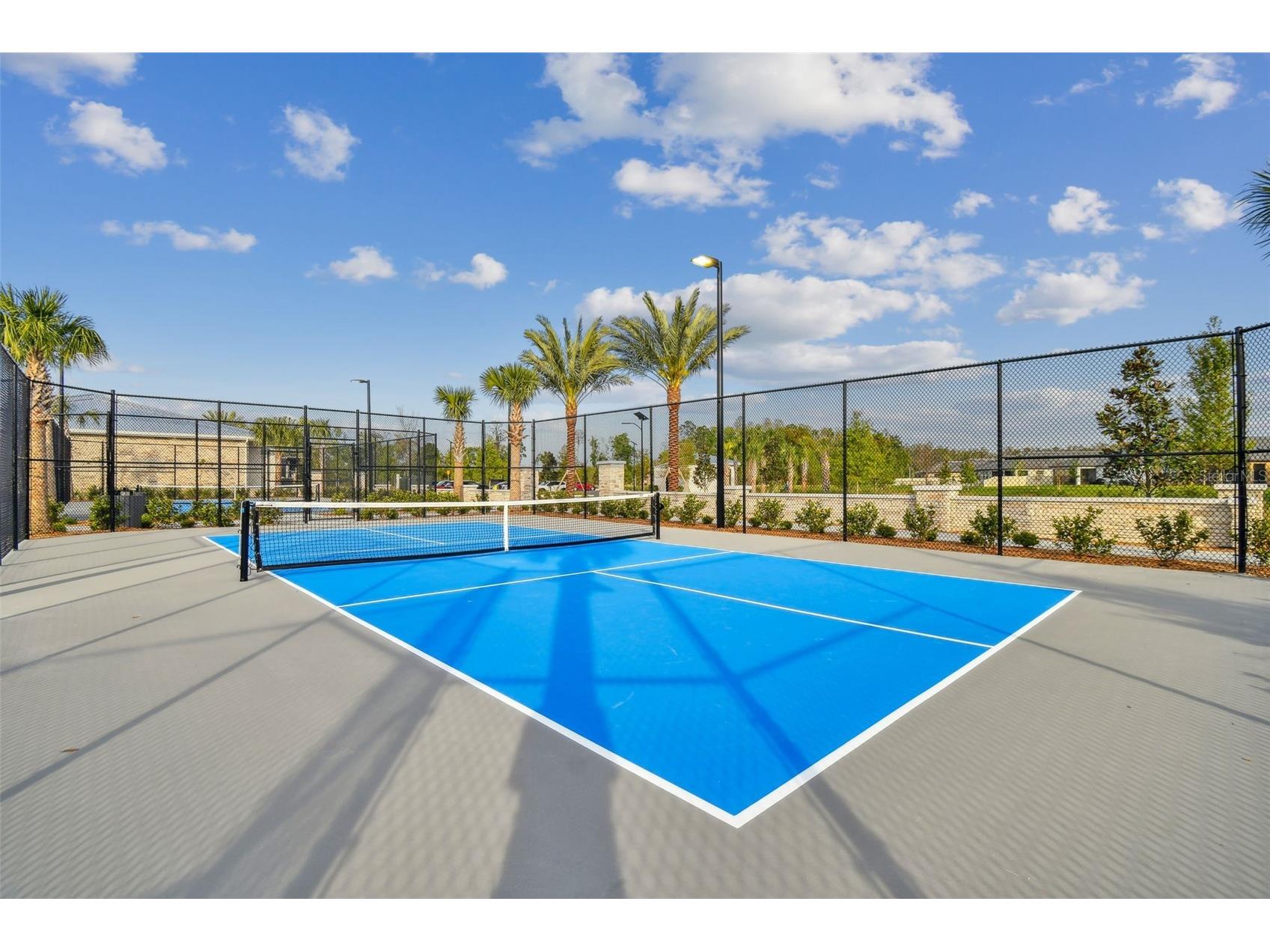 11032 Crescent Deer Drive Land O Lakes FL 34638 TB8482478 image46