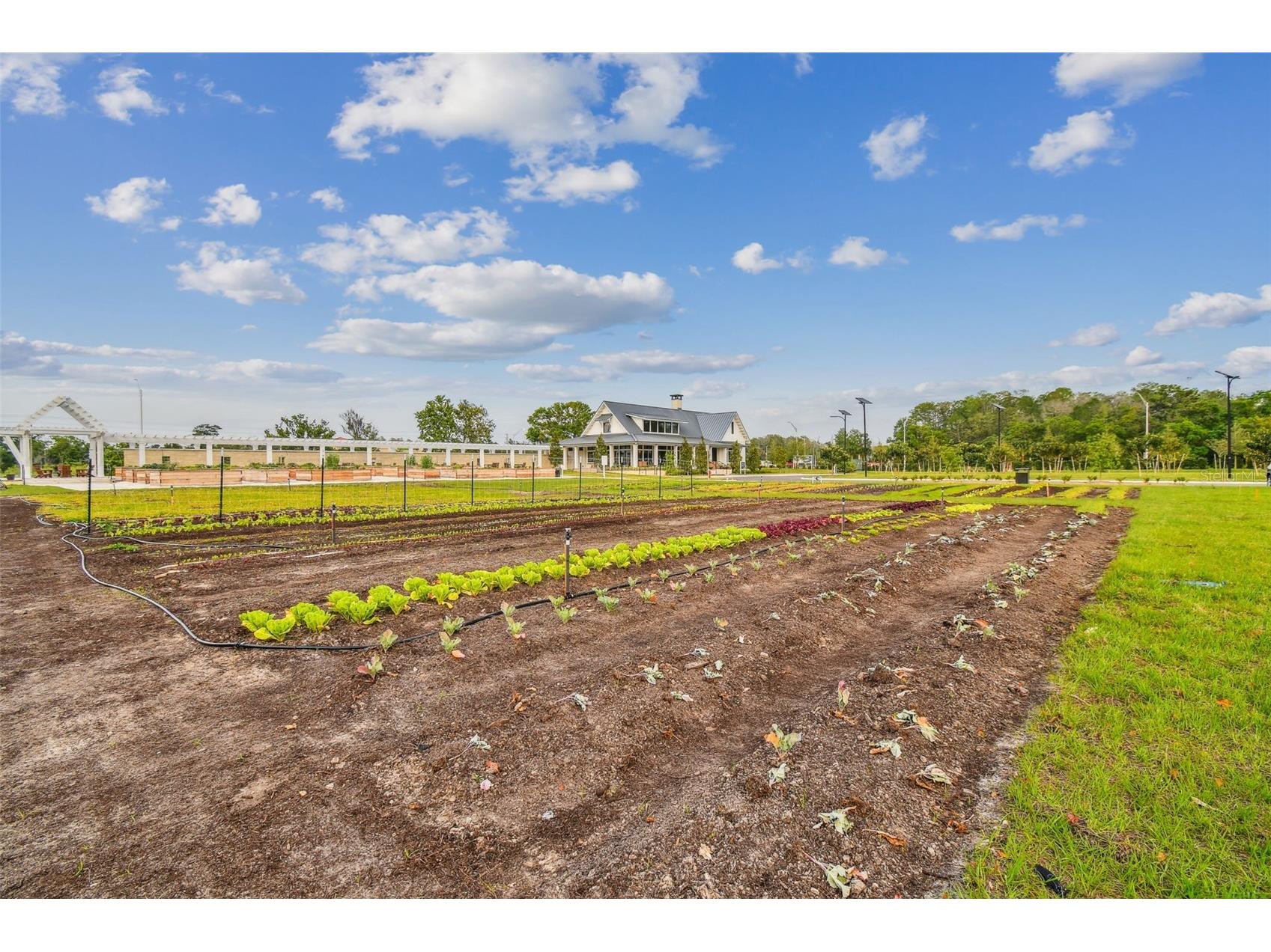 11032 Crescent Deer Drive Land O Lakes FL 34638 TB8482478 image54