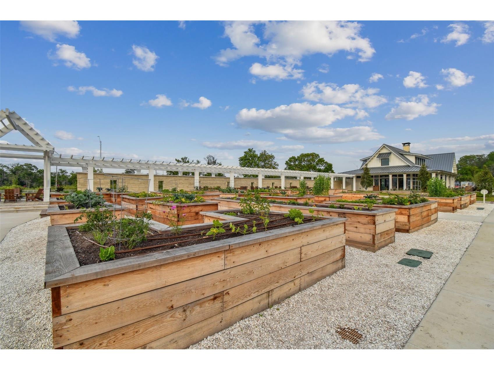 11032 Crescent Deer Drive Land O Lakes FL 34638 TB8482478 image55