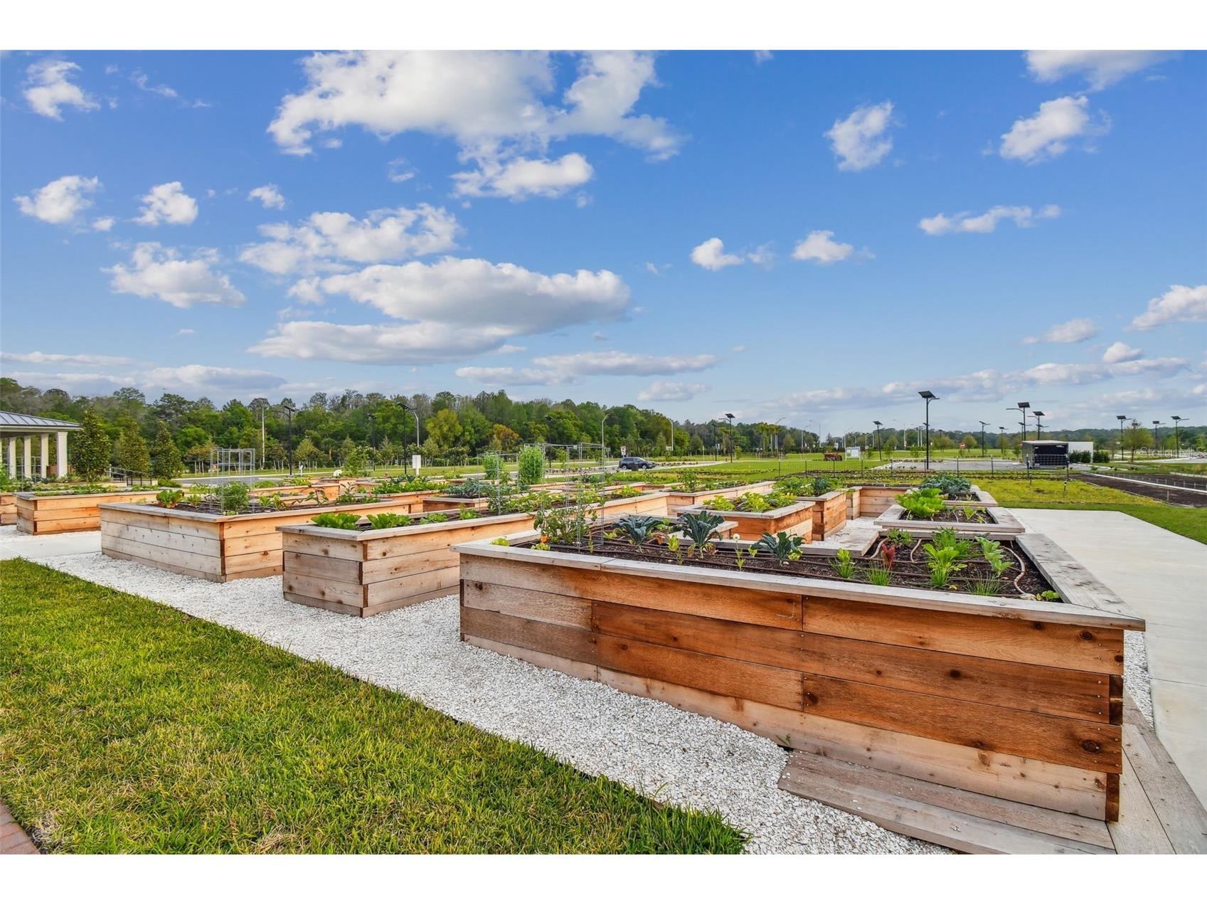 11032 Crescent Deer Drive Land O Lakes FL 34638 TB8482478 image56