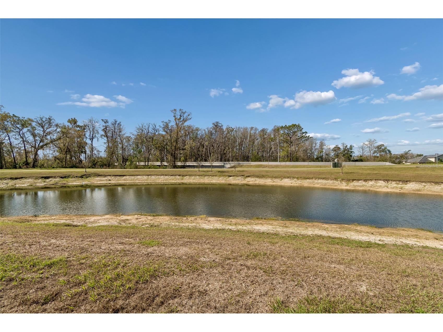 11032 Crescent Deer Drive Land O Lakes FL 34638 TB8482478 image8