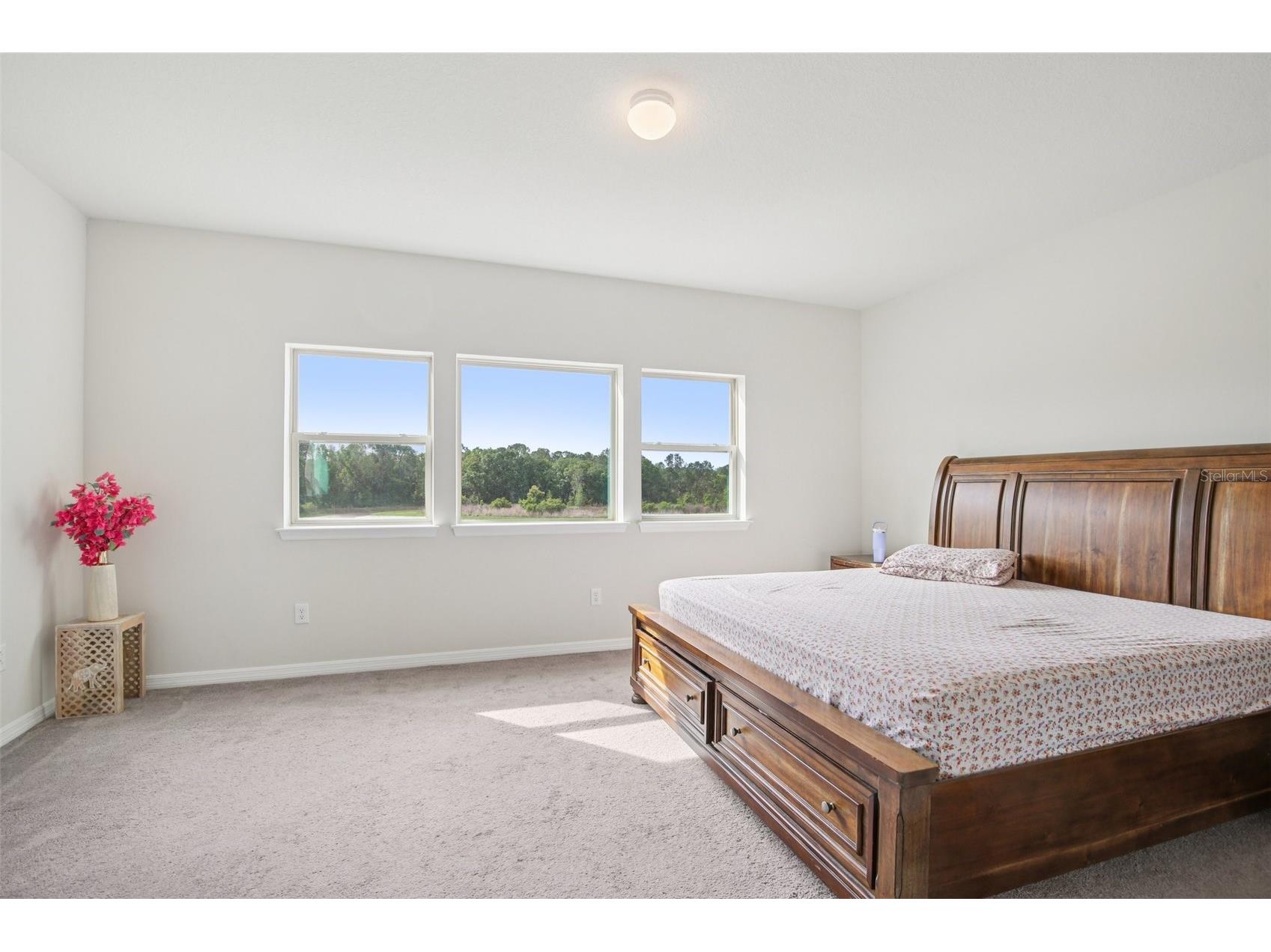 11032 Sundrift Drive Tampa FL 33647 W7884524 image18