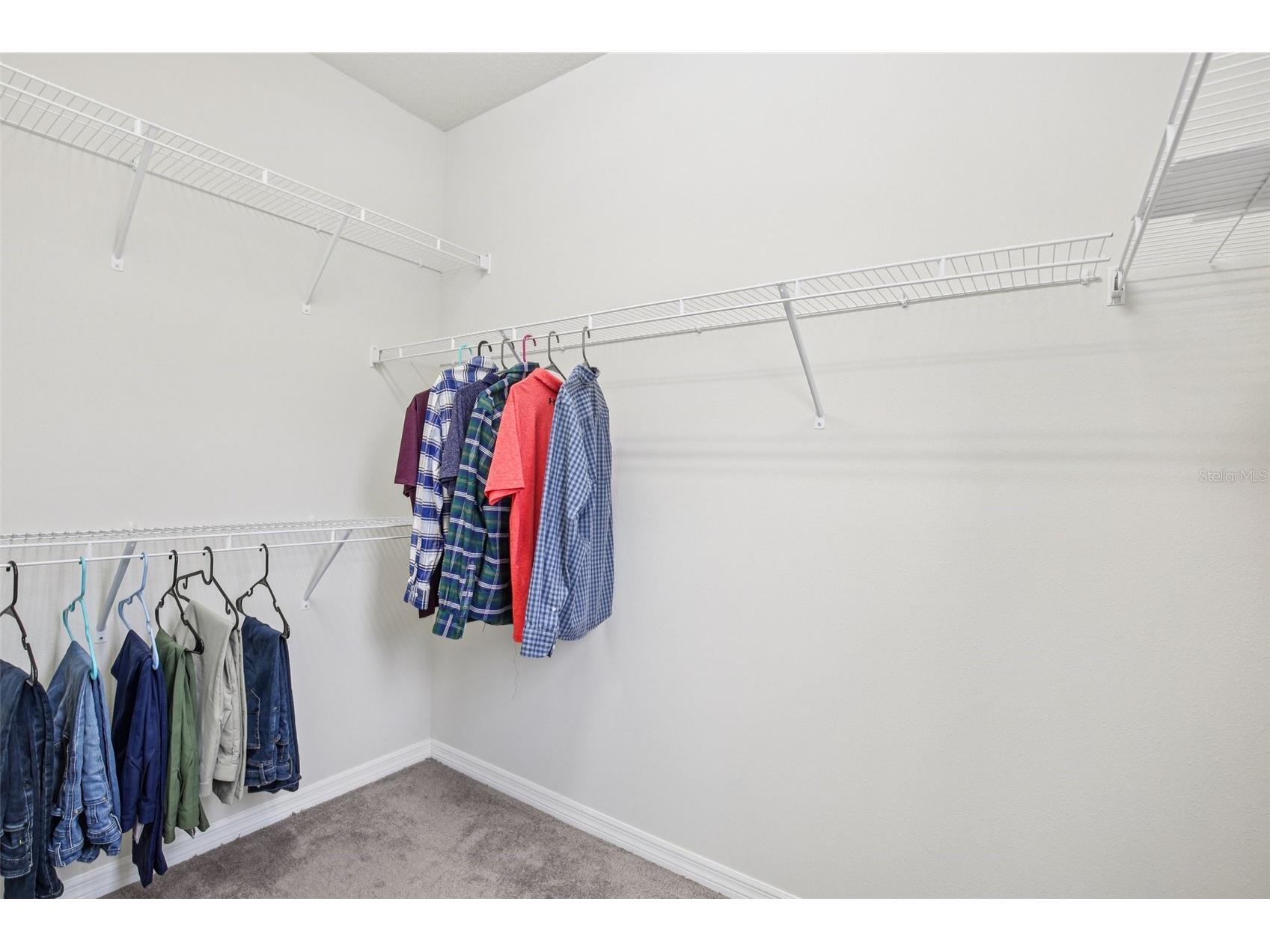 11032 Sundrift Drive Tampa FL 33647 W7884524 image26