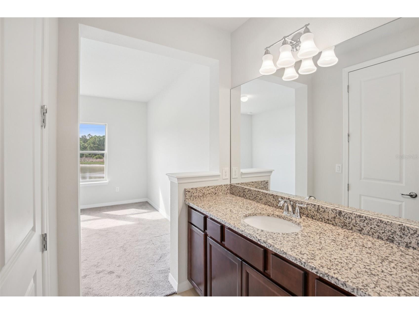 11032 Sundrift Drive Tampa FL 33647 W7884524 image38