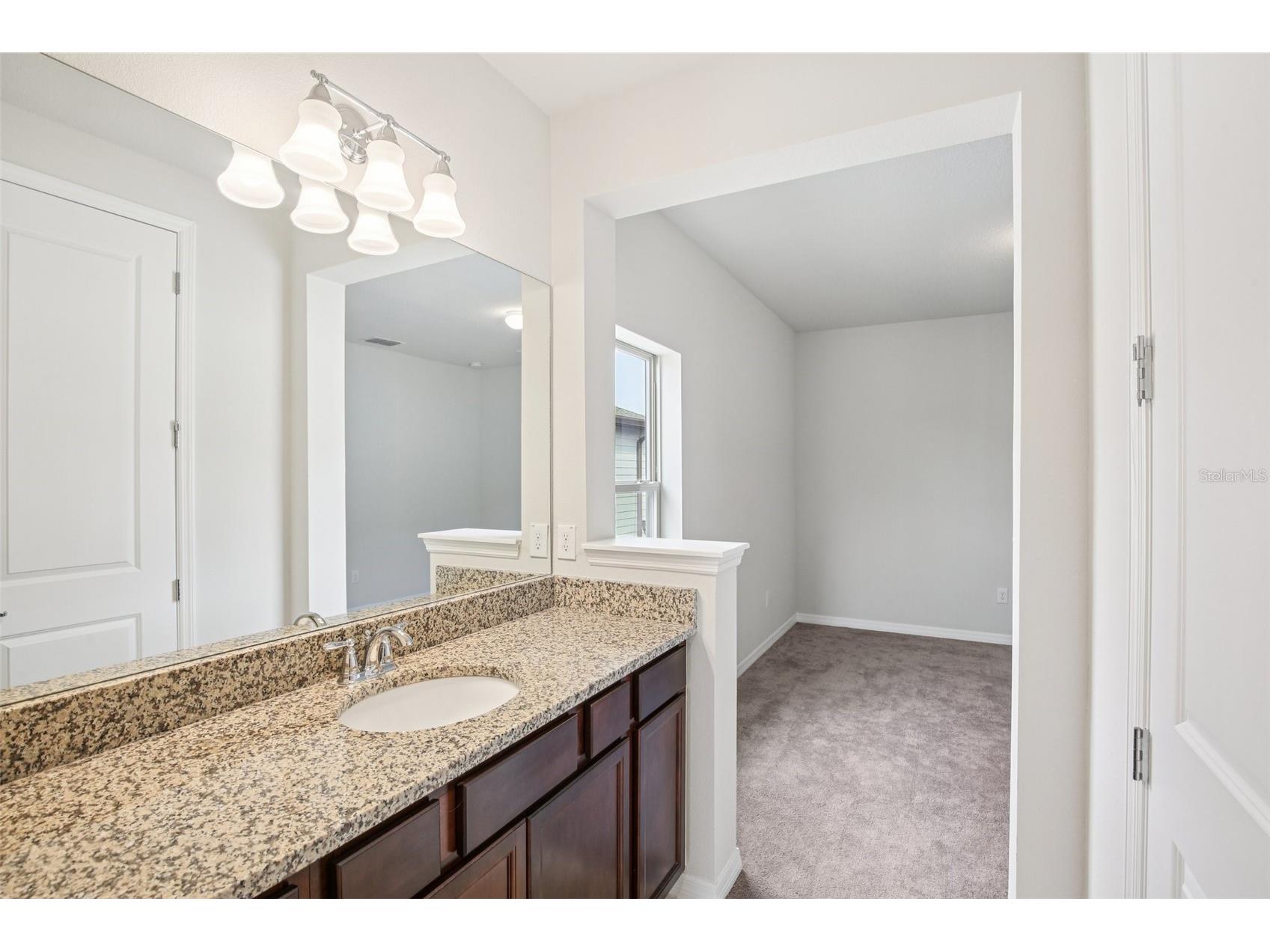 11032 Sundrift Drive Tampa FL 33647 W7884524 image39