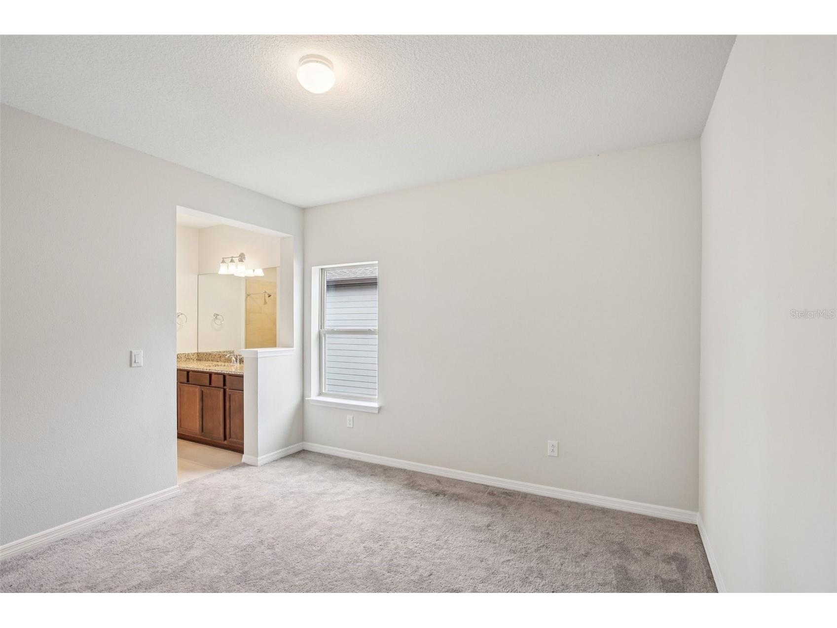 11032 Sundrift Drive Tampa FL 33647 W7884524 image42