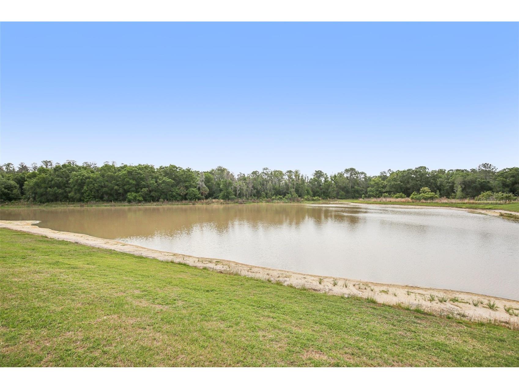 11032 Sundrift Drive Tampa FL 33647 W7884524 image67