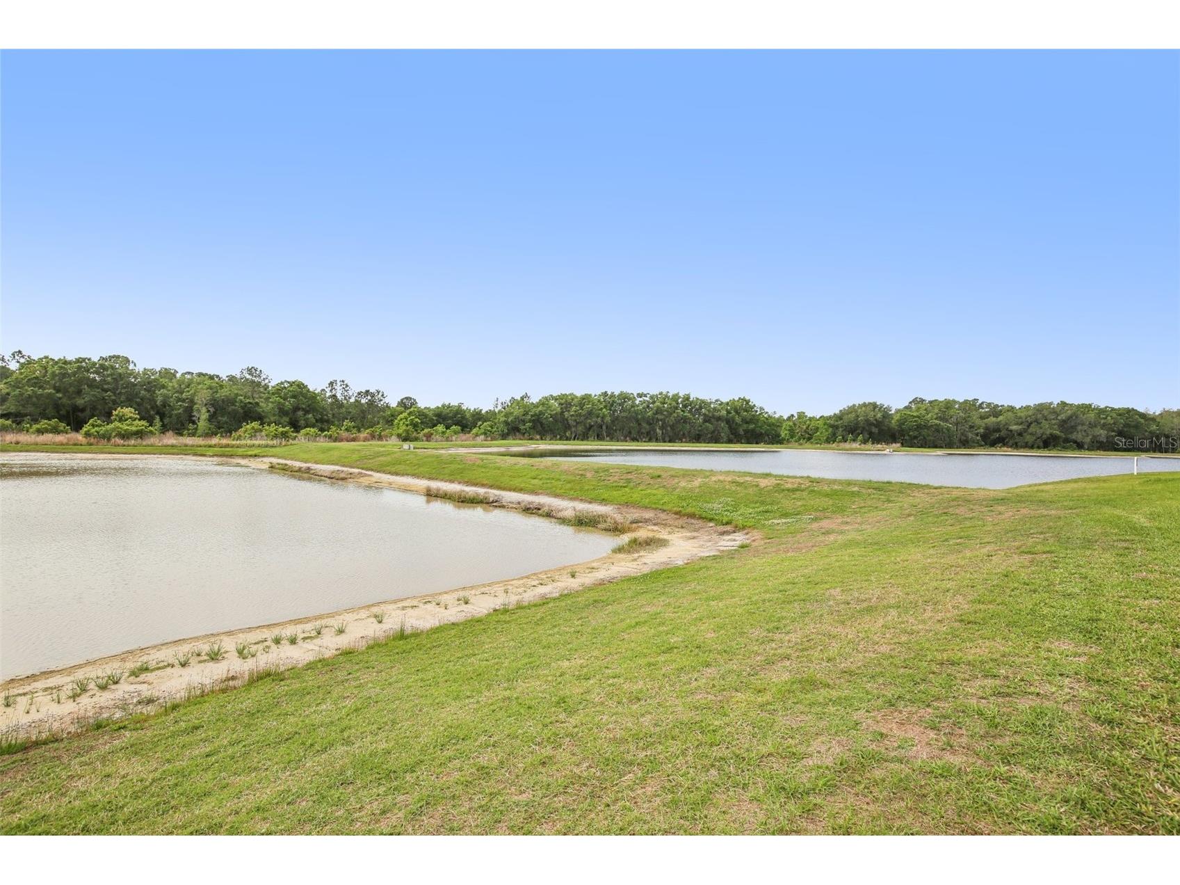 11032 Sundrift Drive Tampa FL 33647 W7884524 image68