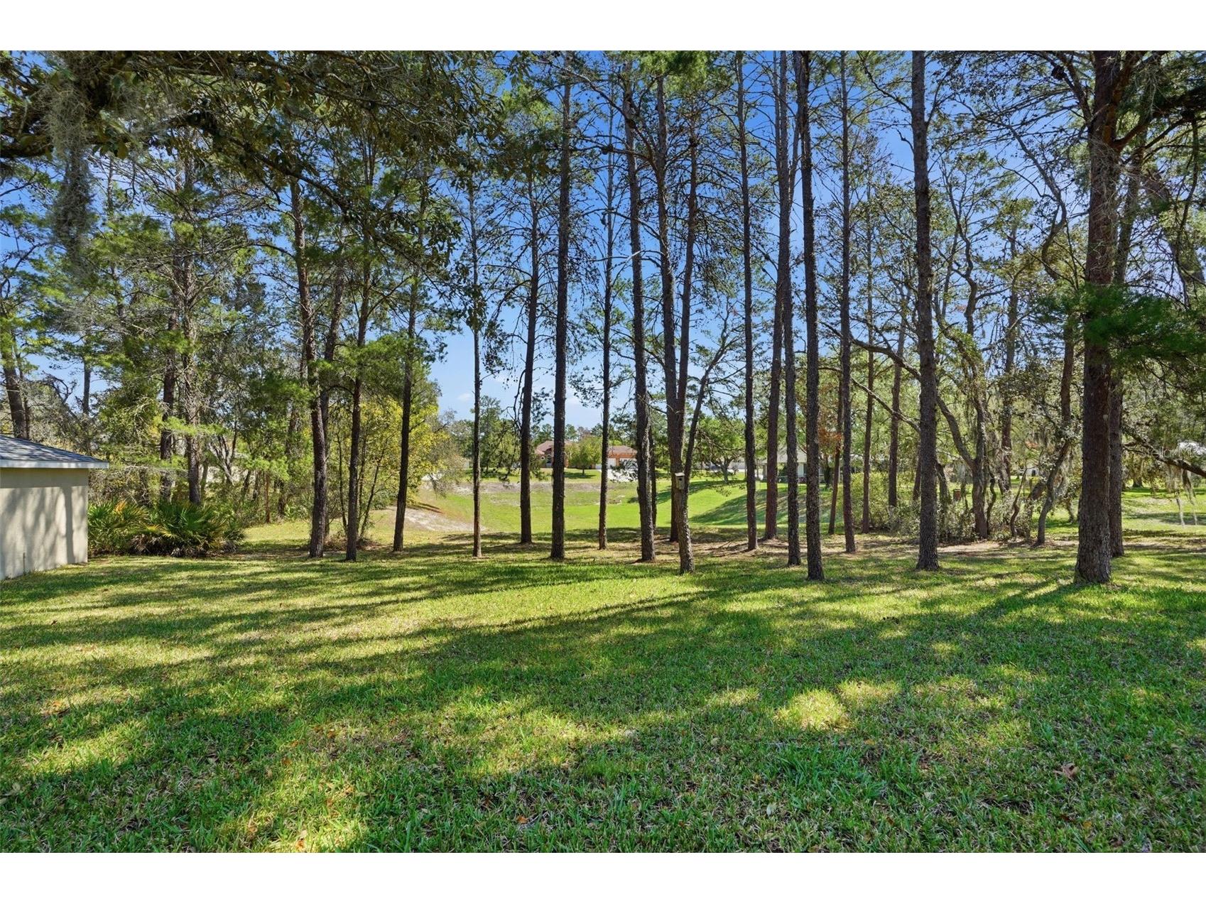 11033 Baywind Court Weeki Wachee FL 34613 W7883764 image59