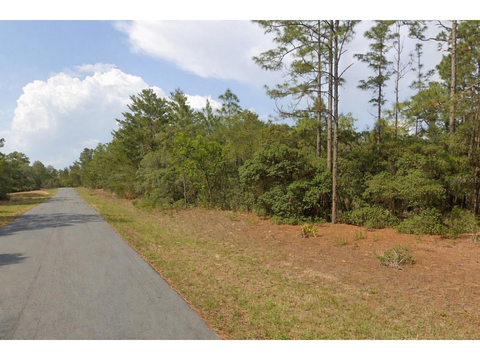 11033 N Trigger Terrace Citrus Springs FL 34433 A4683315 image1