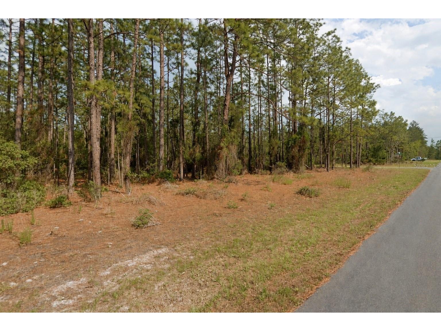 11033 N Trigger Terrace Citrus Springs FL 34433 A4683315 image2
